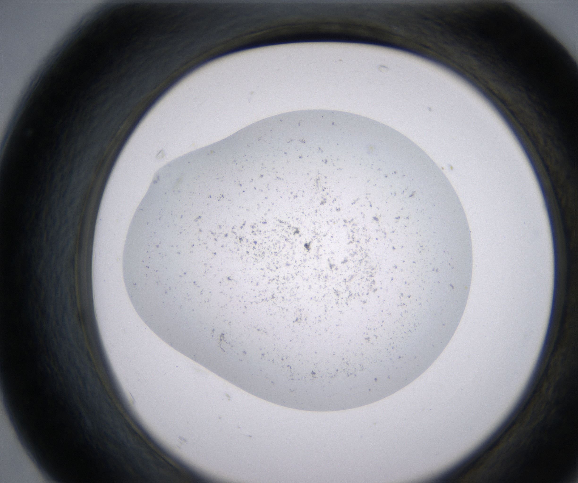 F7_HighResolution_Precipitate_2.jpg