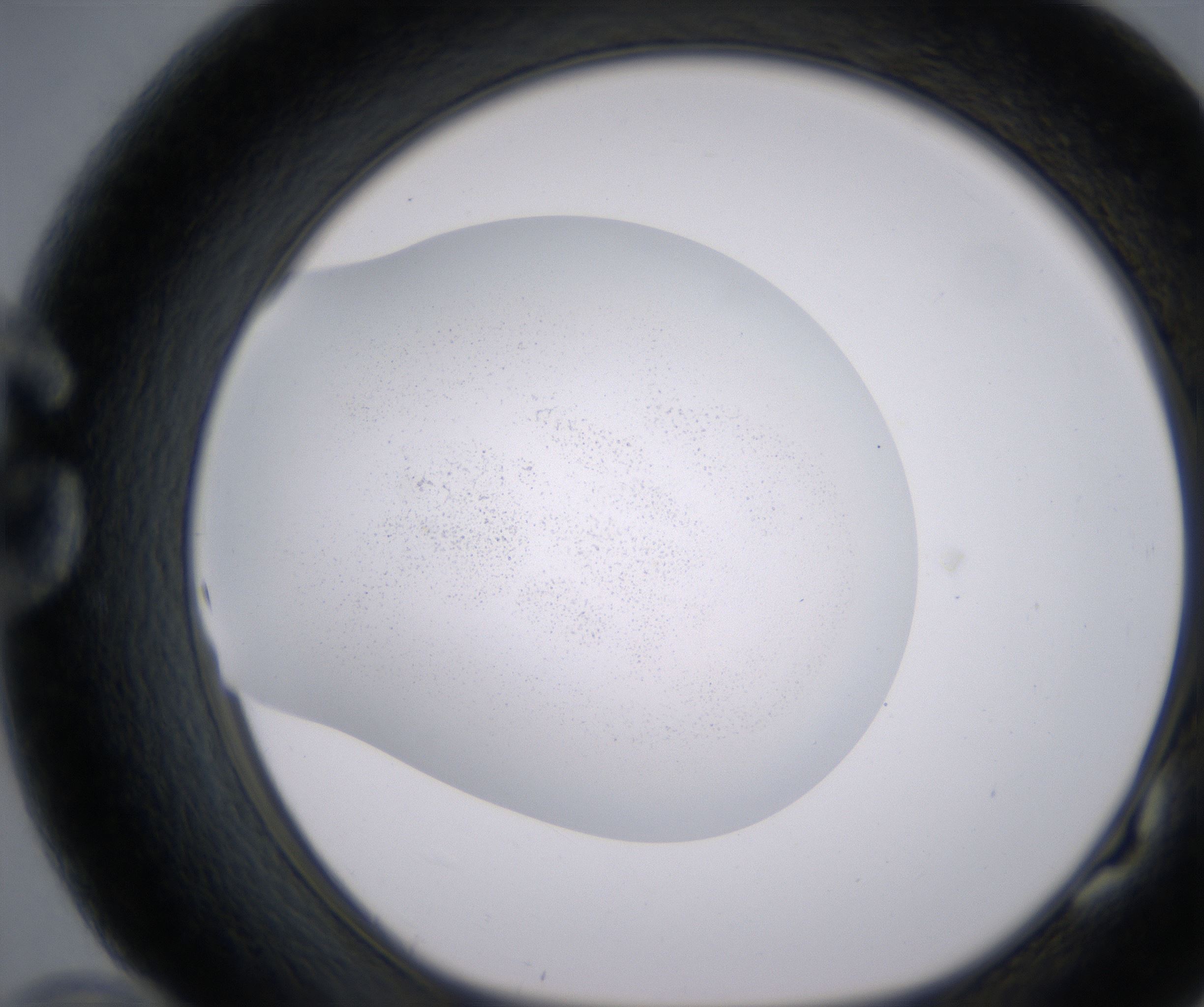 G10_HighResolution_Precipitate_1.jpg