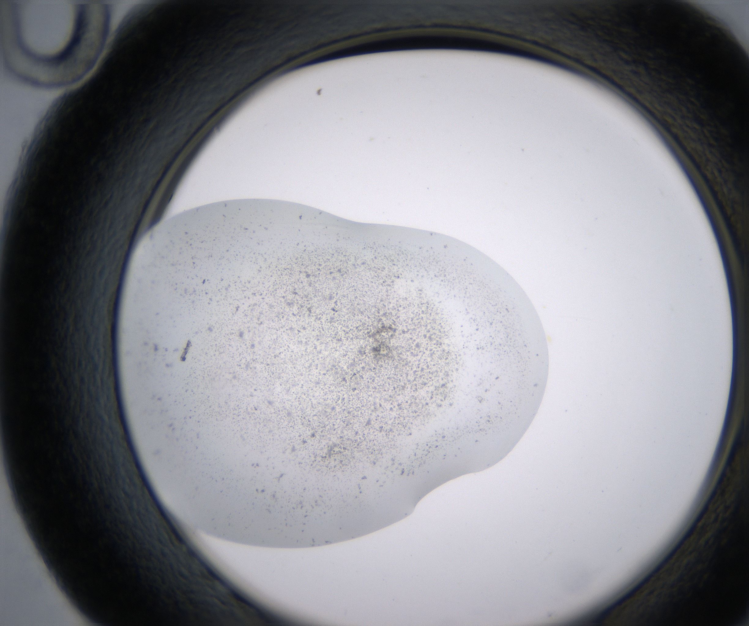 G10_HighResolution_Precipitate_2.jpg