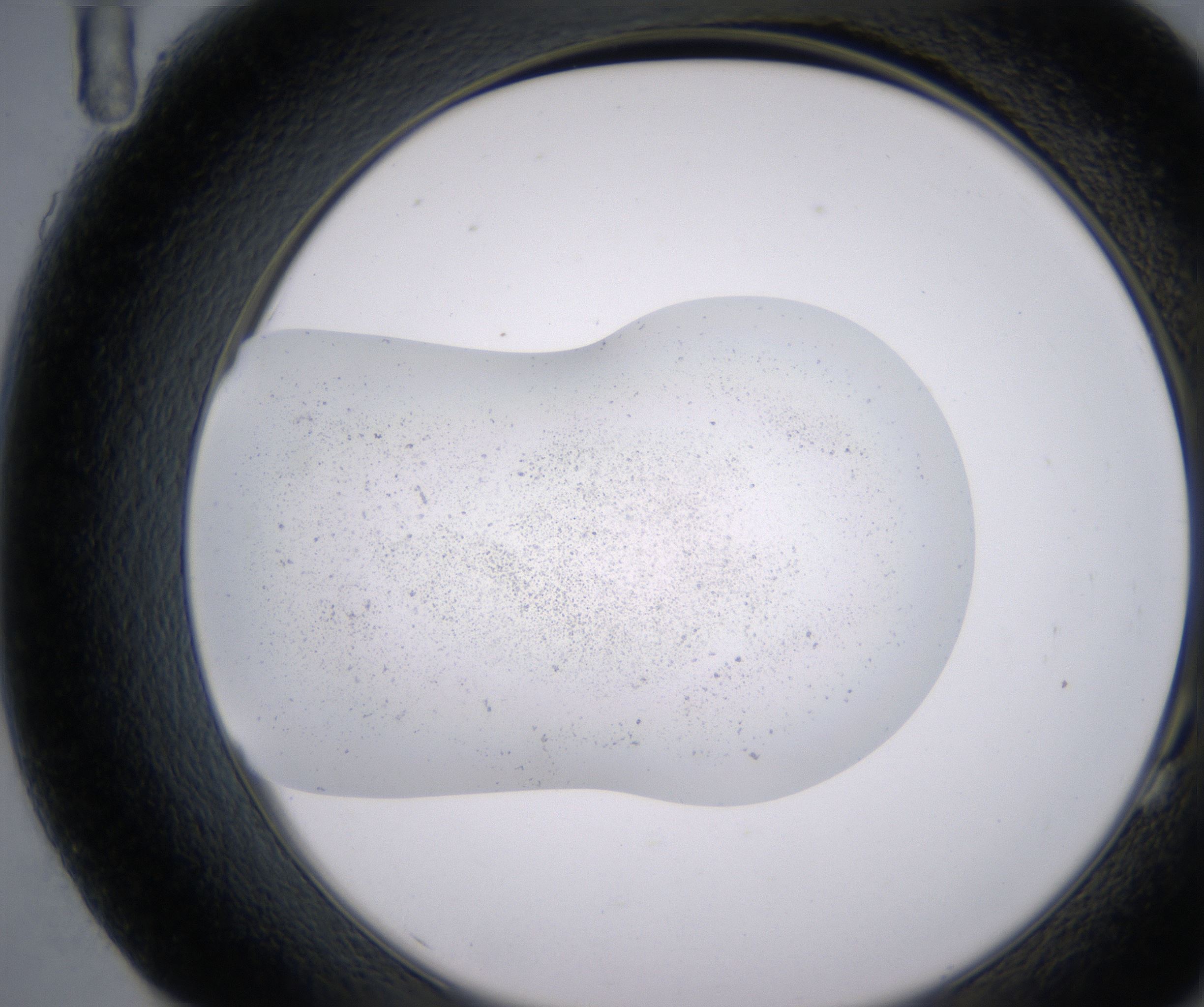 G11_HighResolution_Precipitate_2.jpg