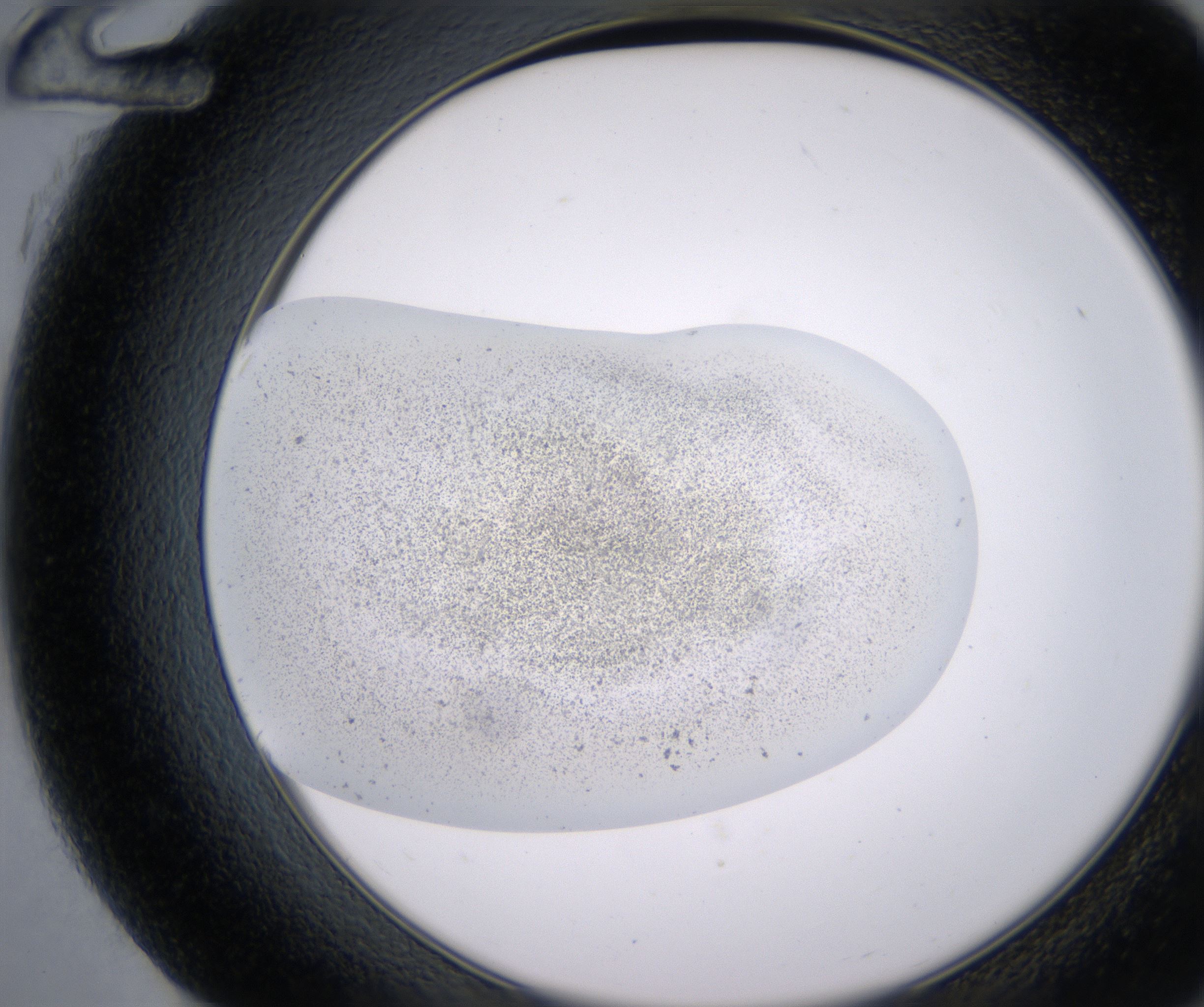 G12_HighResolution_Precipitate_2.jpg