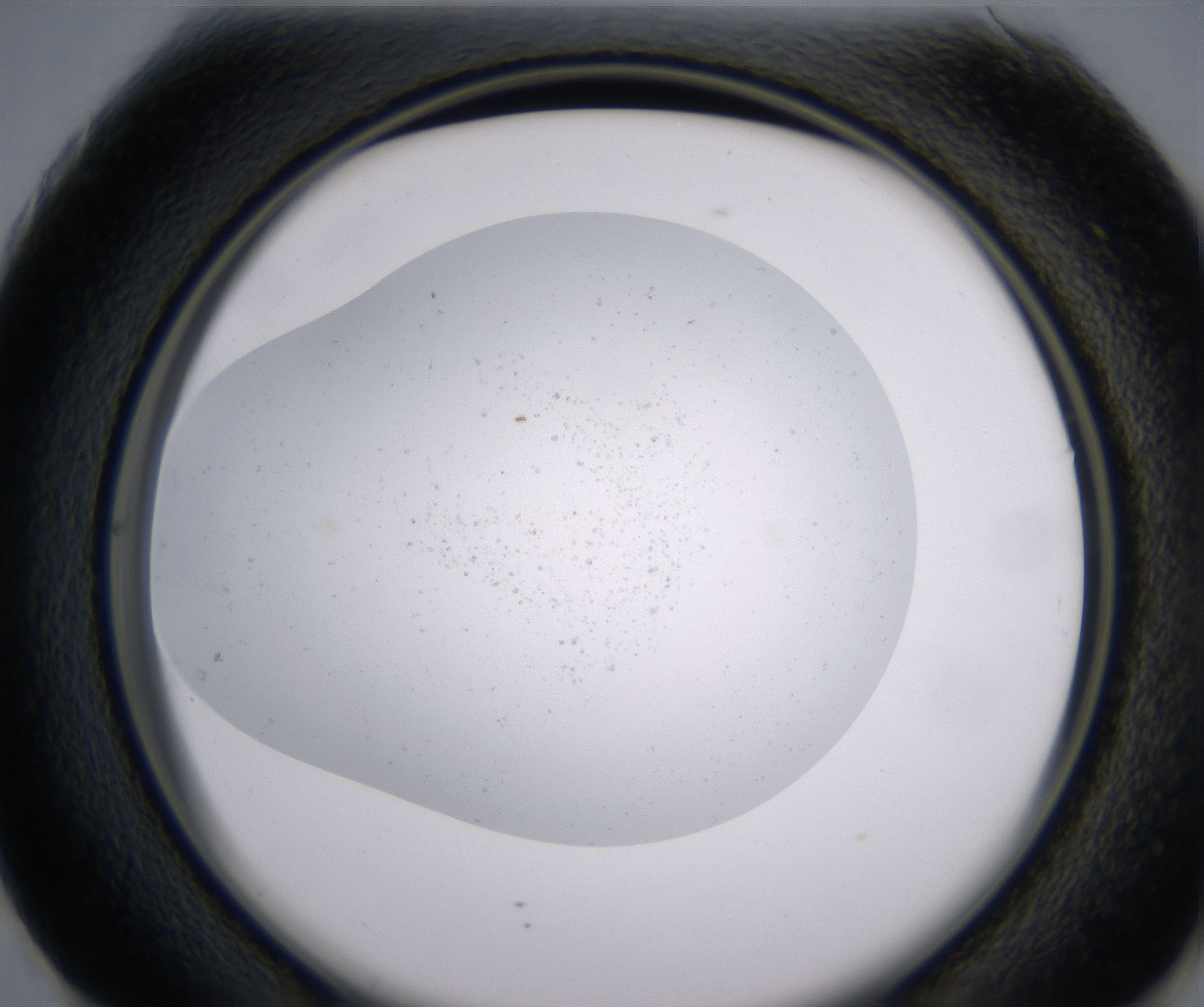 G1_HighResolution_Precipitate_2.jpg