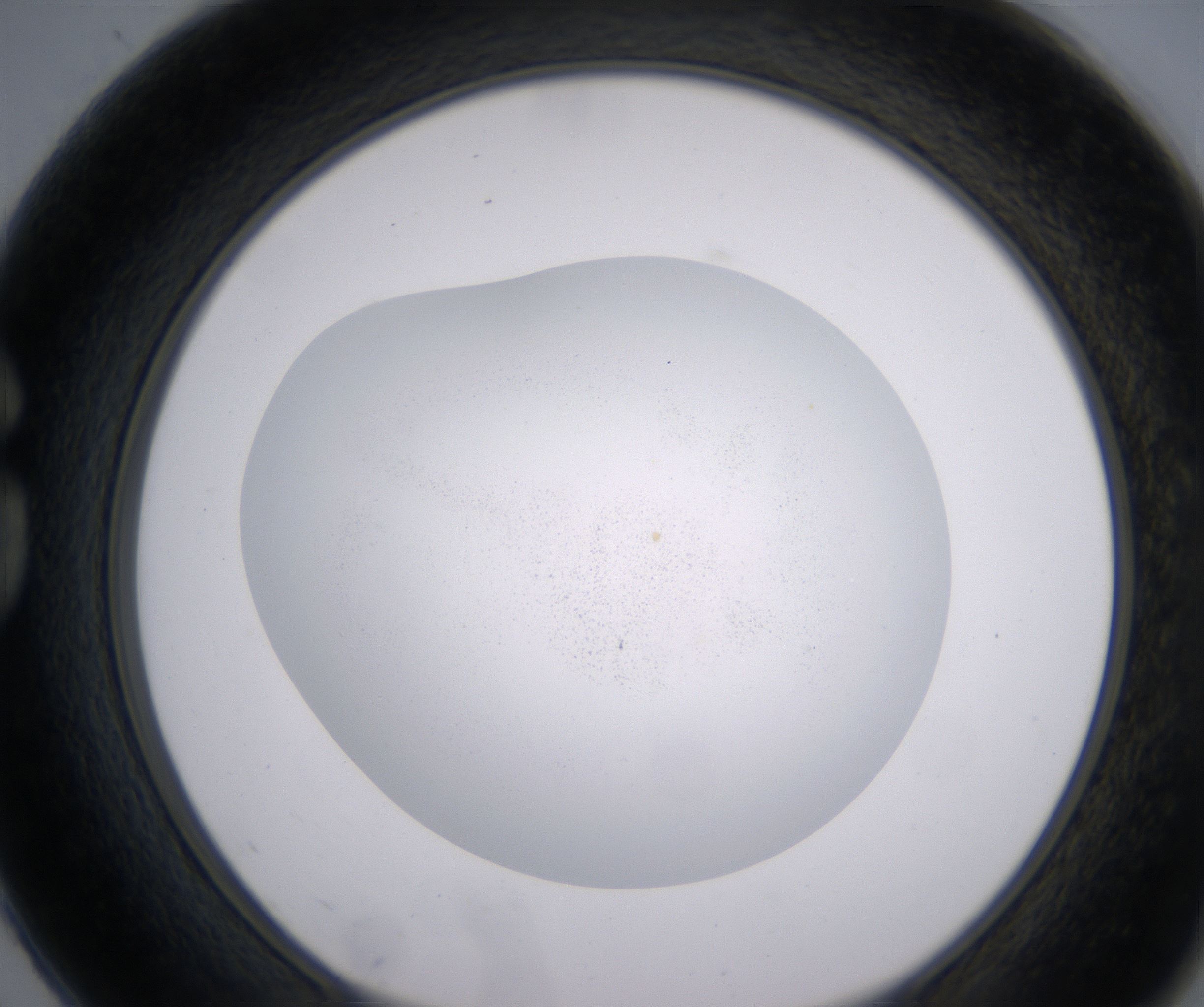 G2_HighResolution_Precipitate_1.jpg