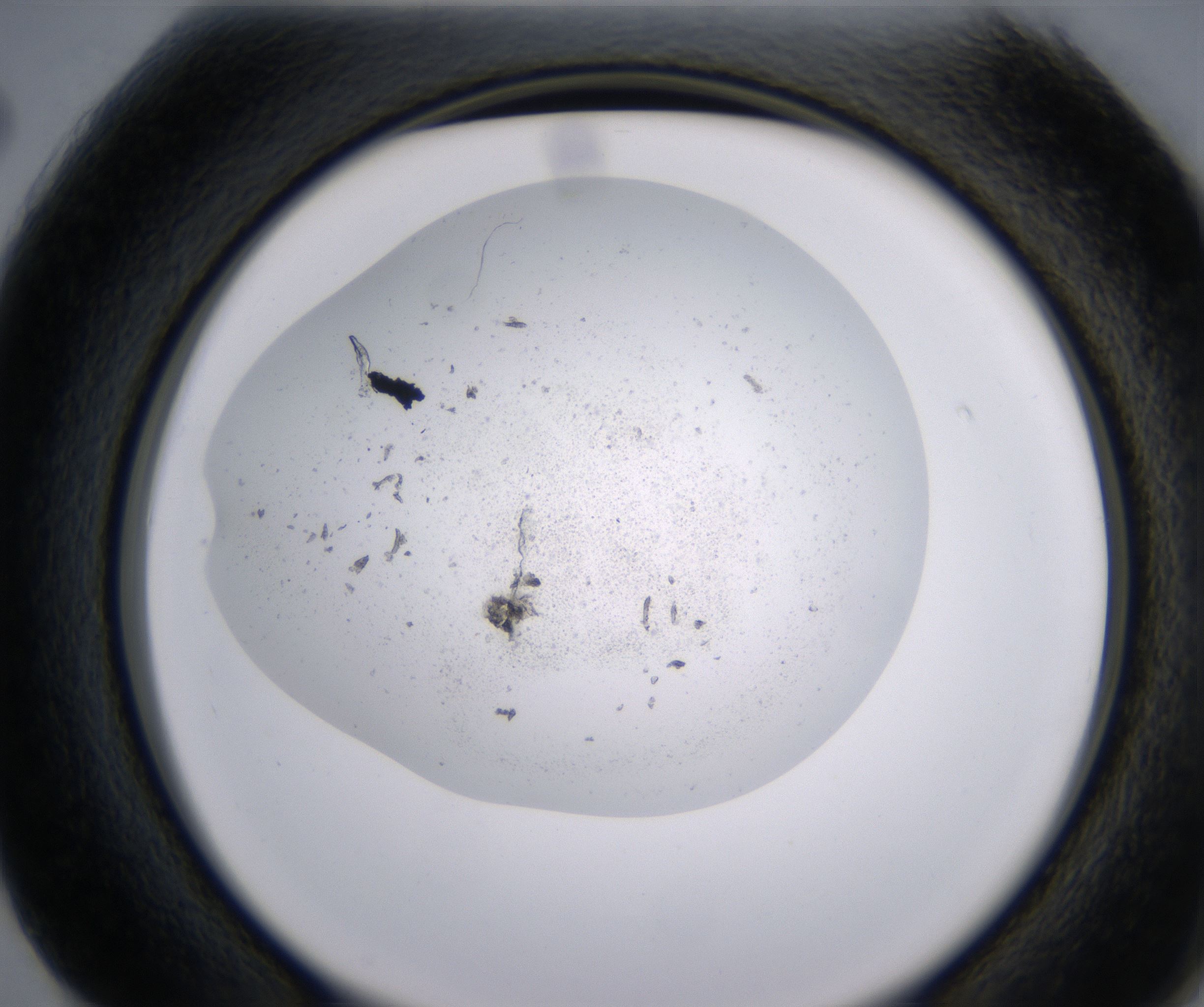 G2_HighResolution_Precipitate_2.jpg