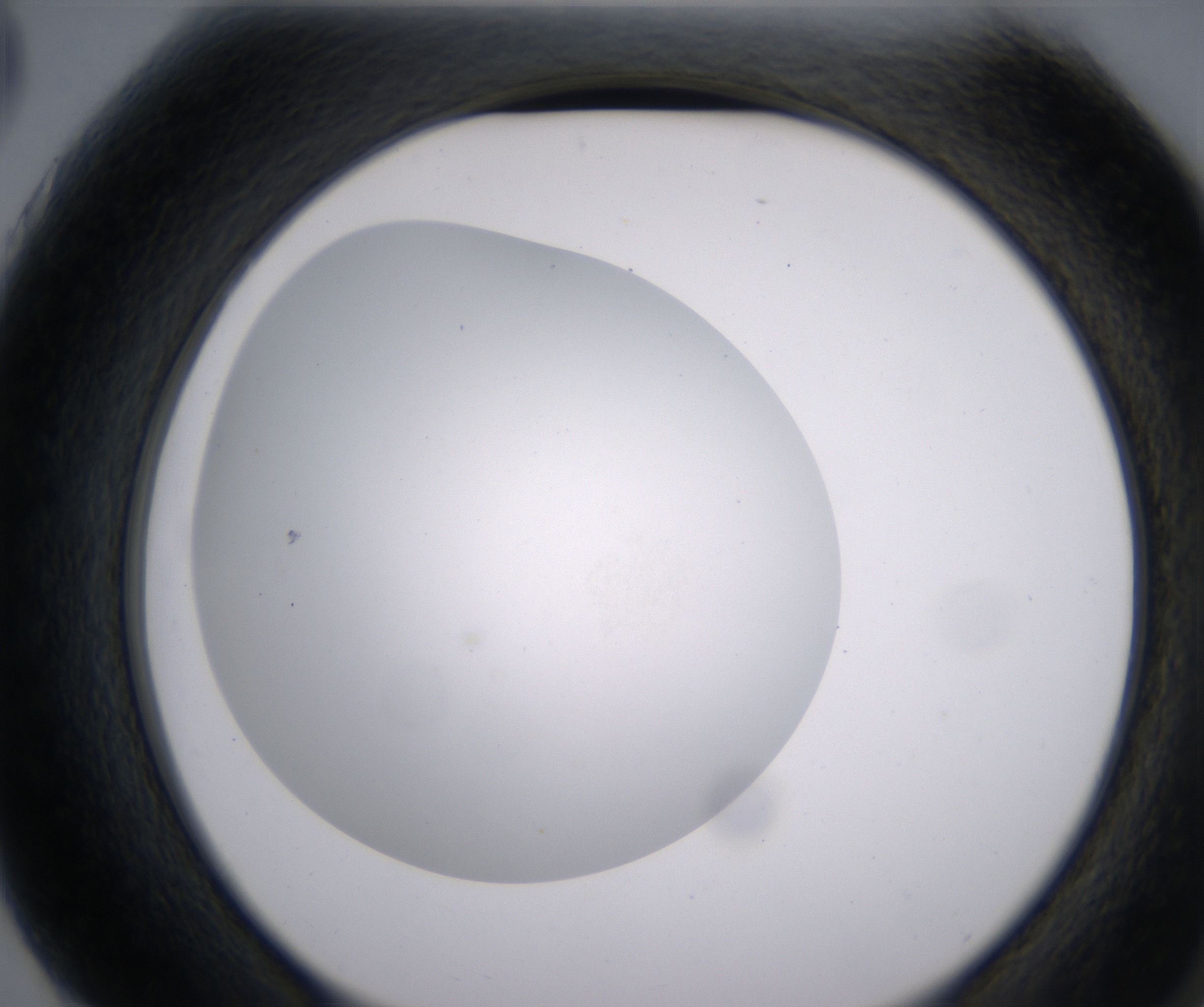 G3_HighResolution_Clear_2.jpg