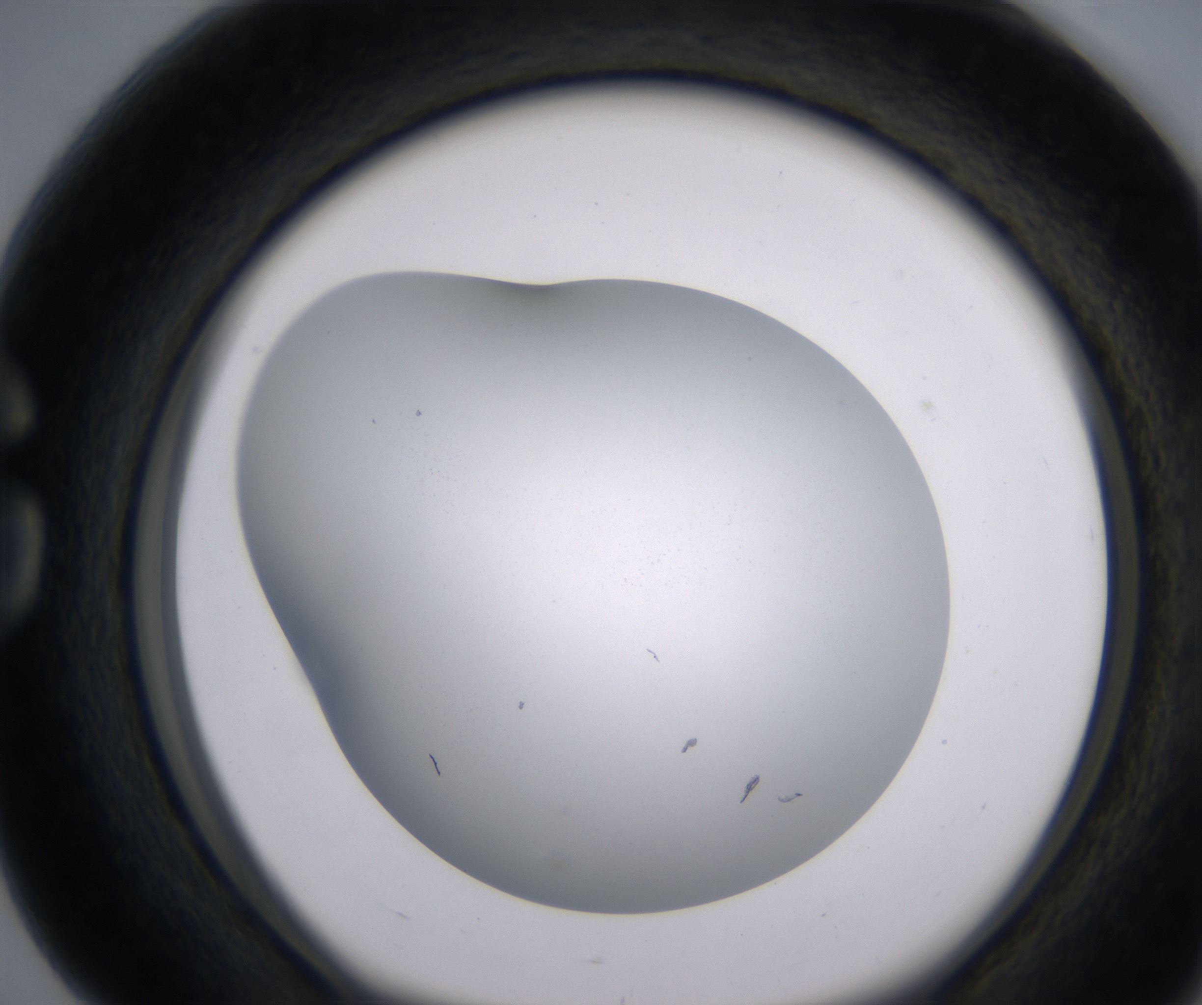 G4_HighResolution_Clear_1.jpg