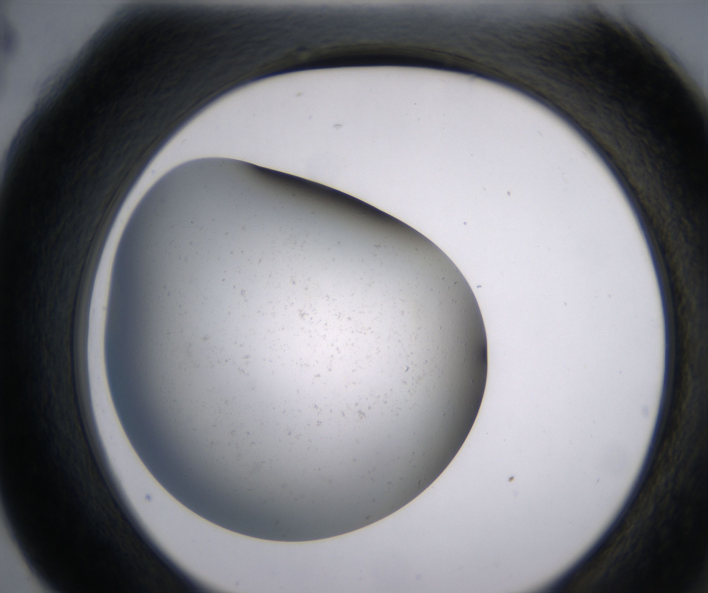 G4_HighResolution_Precipitate_2.jpg