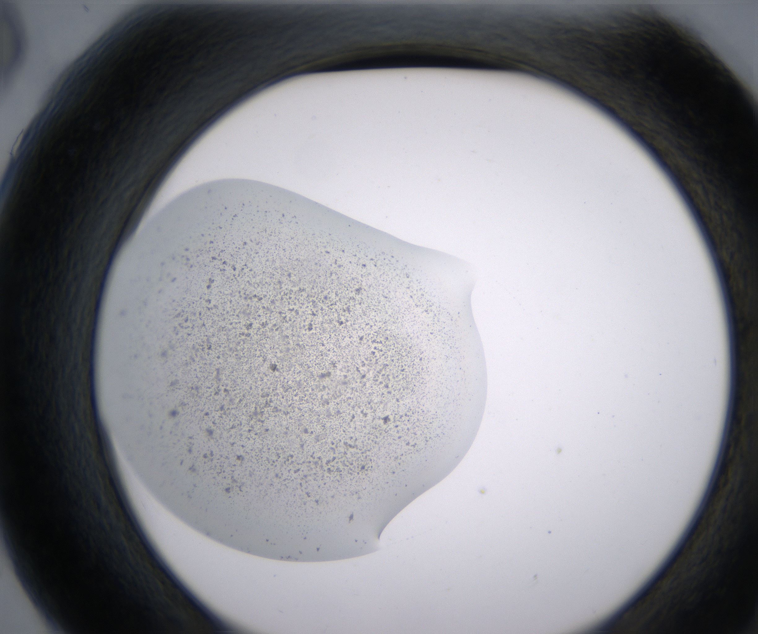 G6_HighResolution_Precipitate_2.jpg
