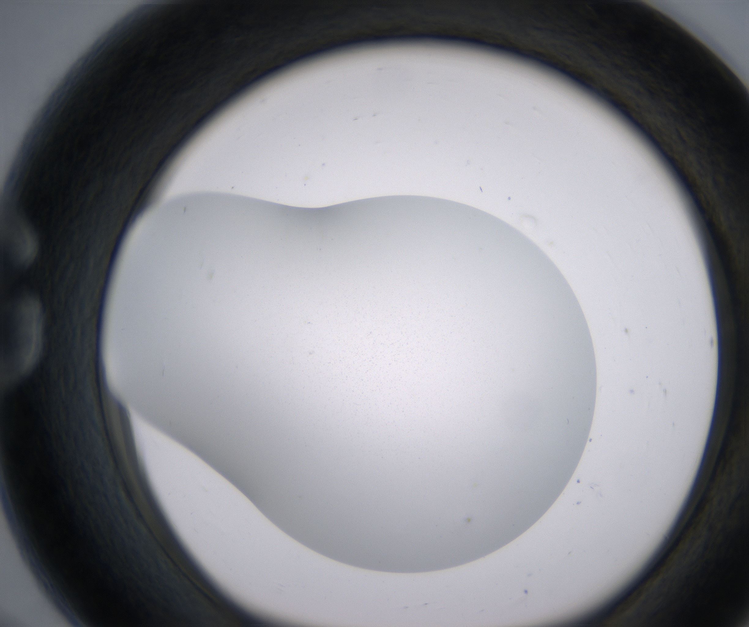 G8_HighResolution_Precipitate_1.jpg