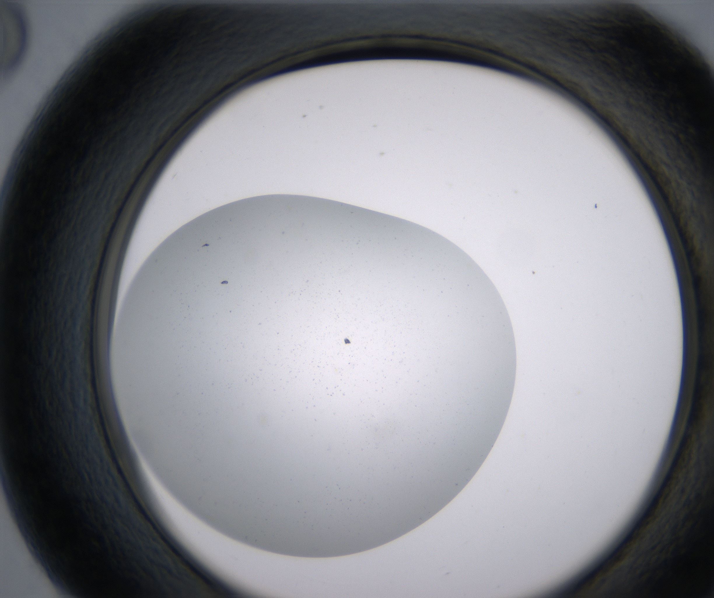 G8_HighResolution_Precipitate_2.jpg