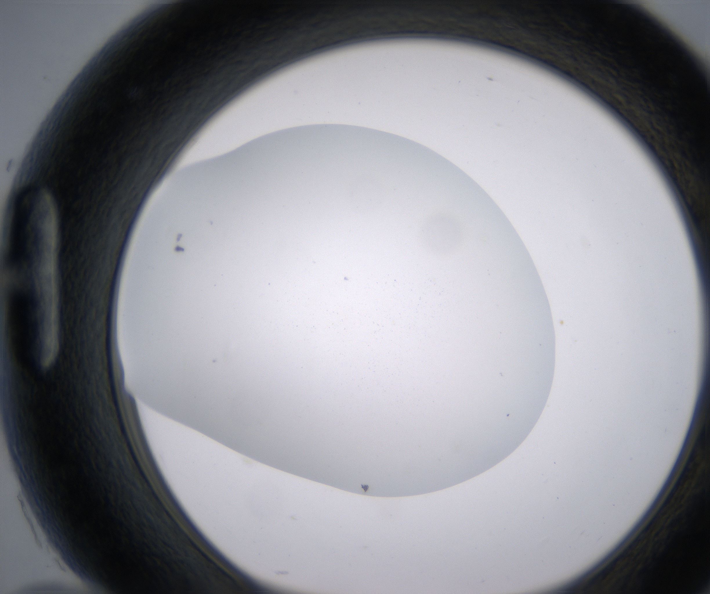 H10_HighResolution_Precipitate_1.jpg