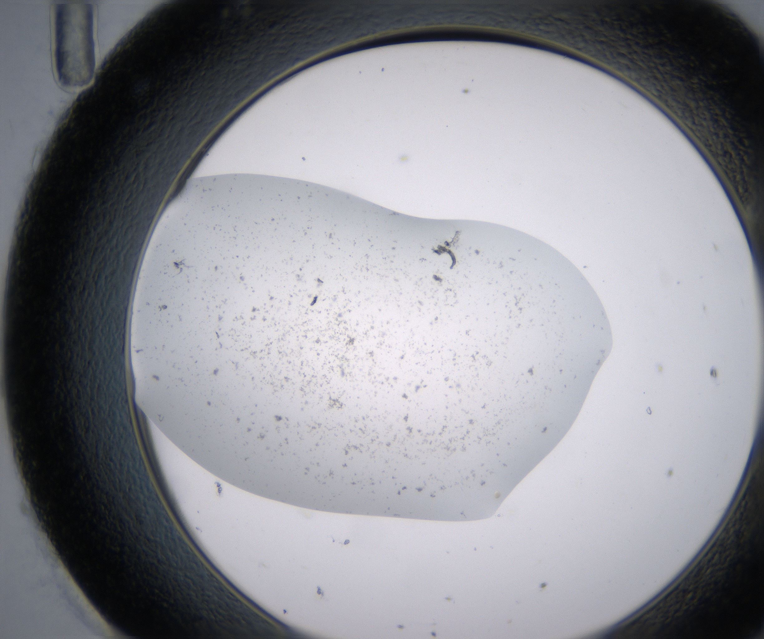 H11_HighResolution_Precipitate_2.jpg
