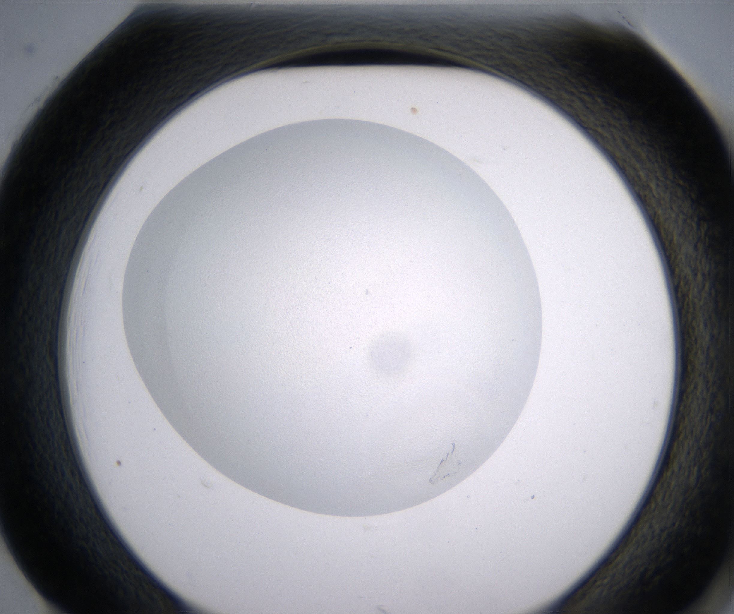 H1_HighResolution_Precipitate_2.jpg