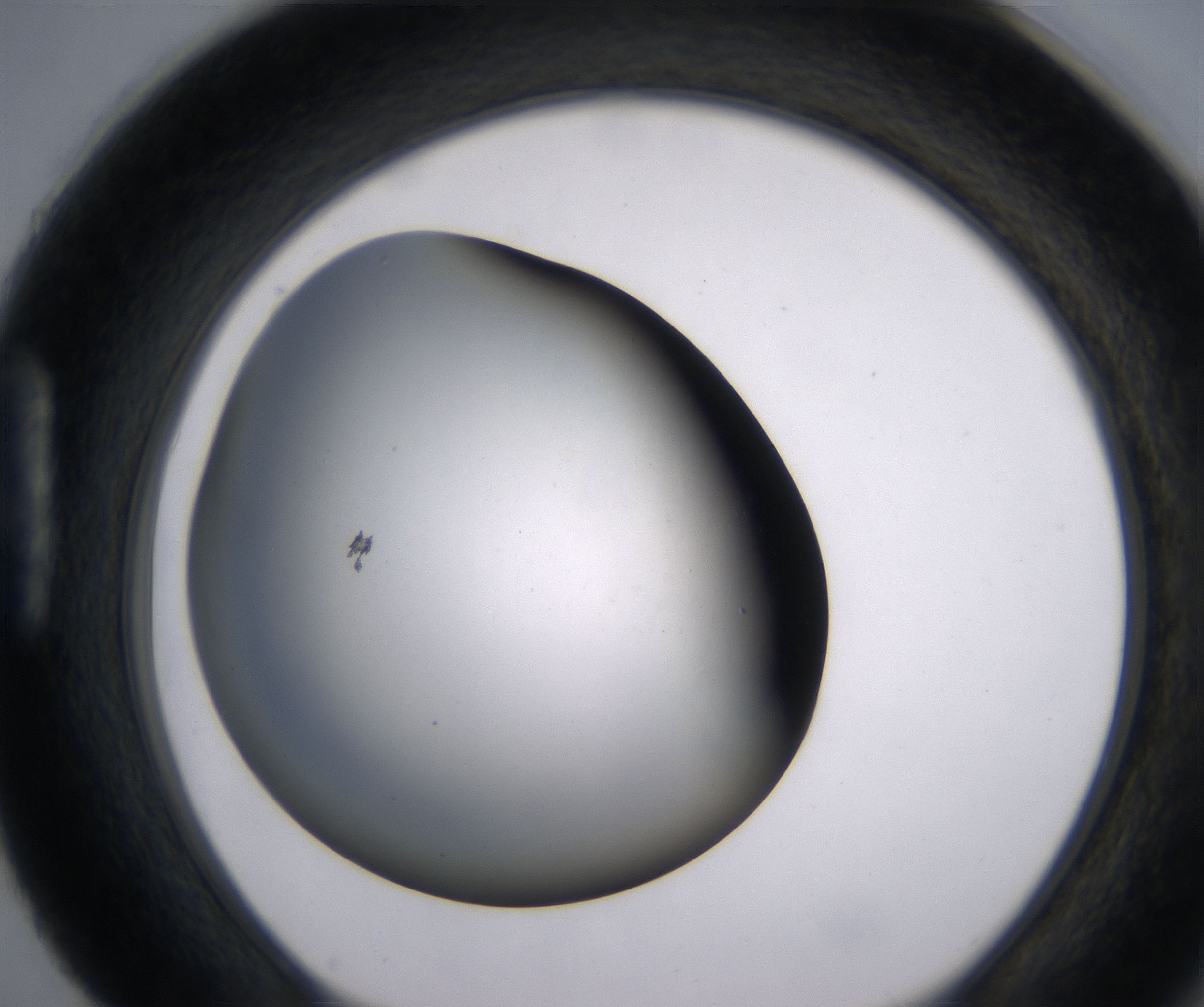 H4_HighResolution_Clear_1.jpg