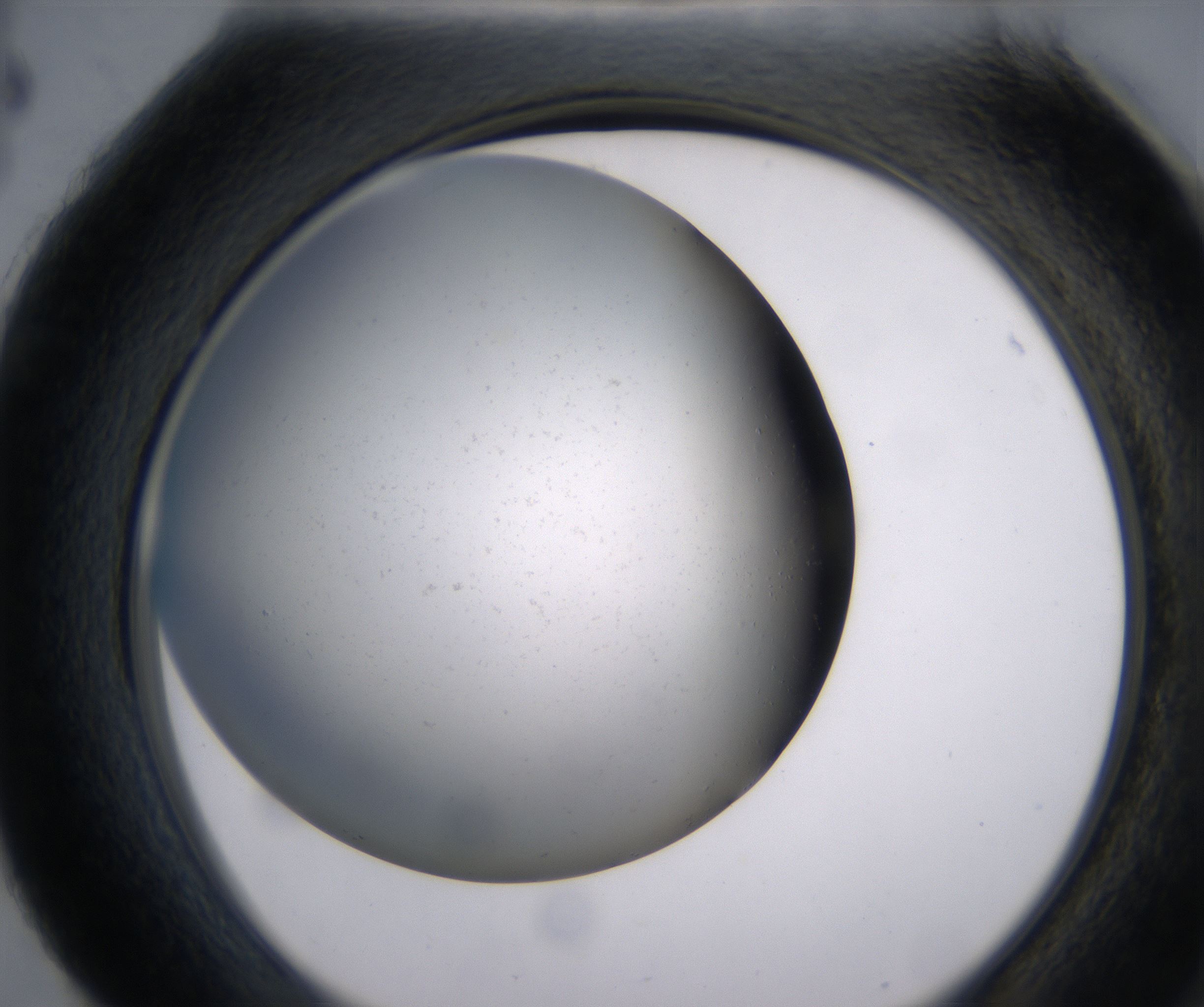 H4_HighResolution_Precipitate_2.jpg