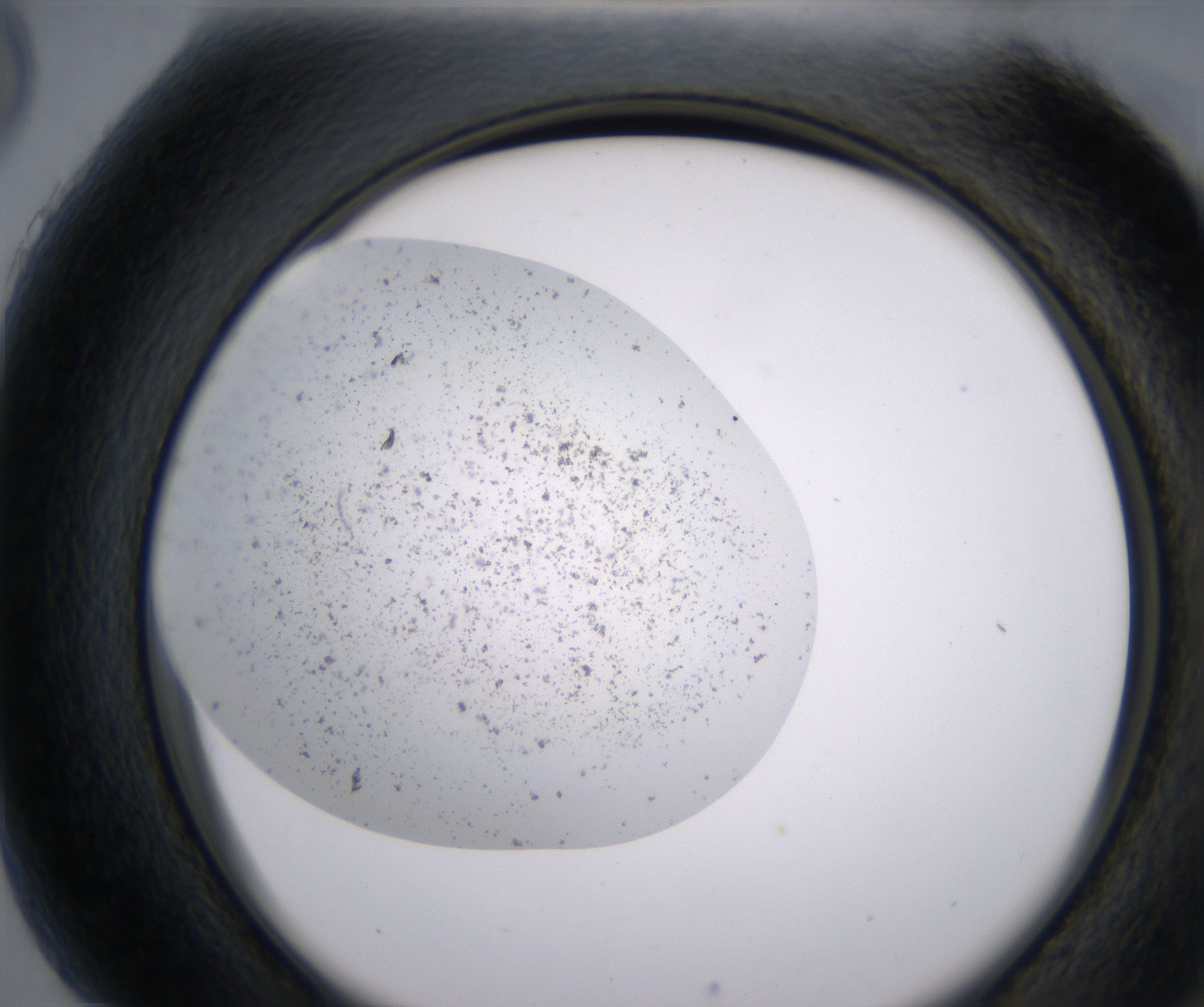 H5_HighResolution_Precipitate_2.jpg
