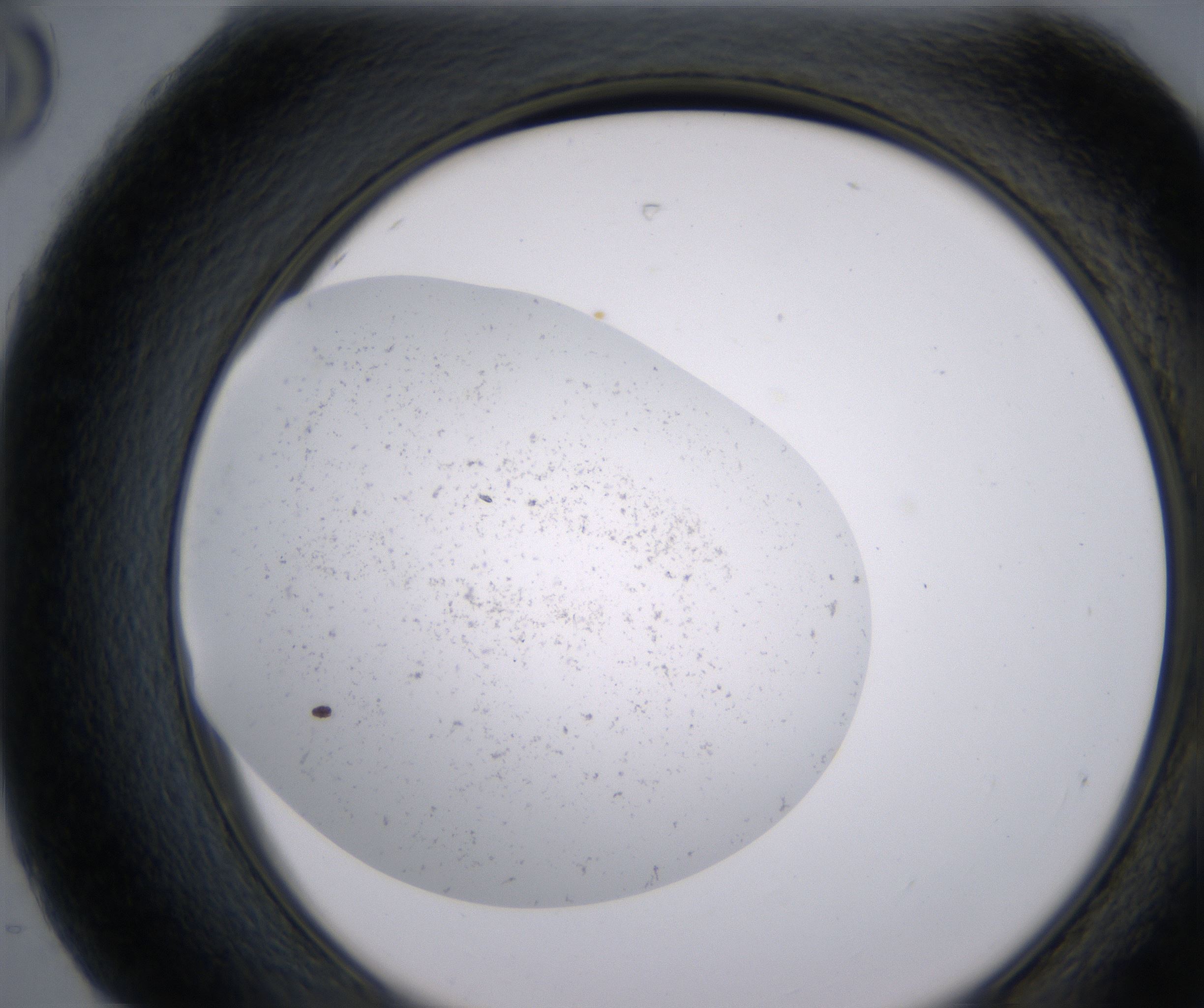 H8_HighResolution_Precipitate_2.jpg