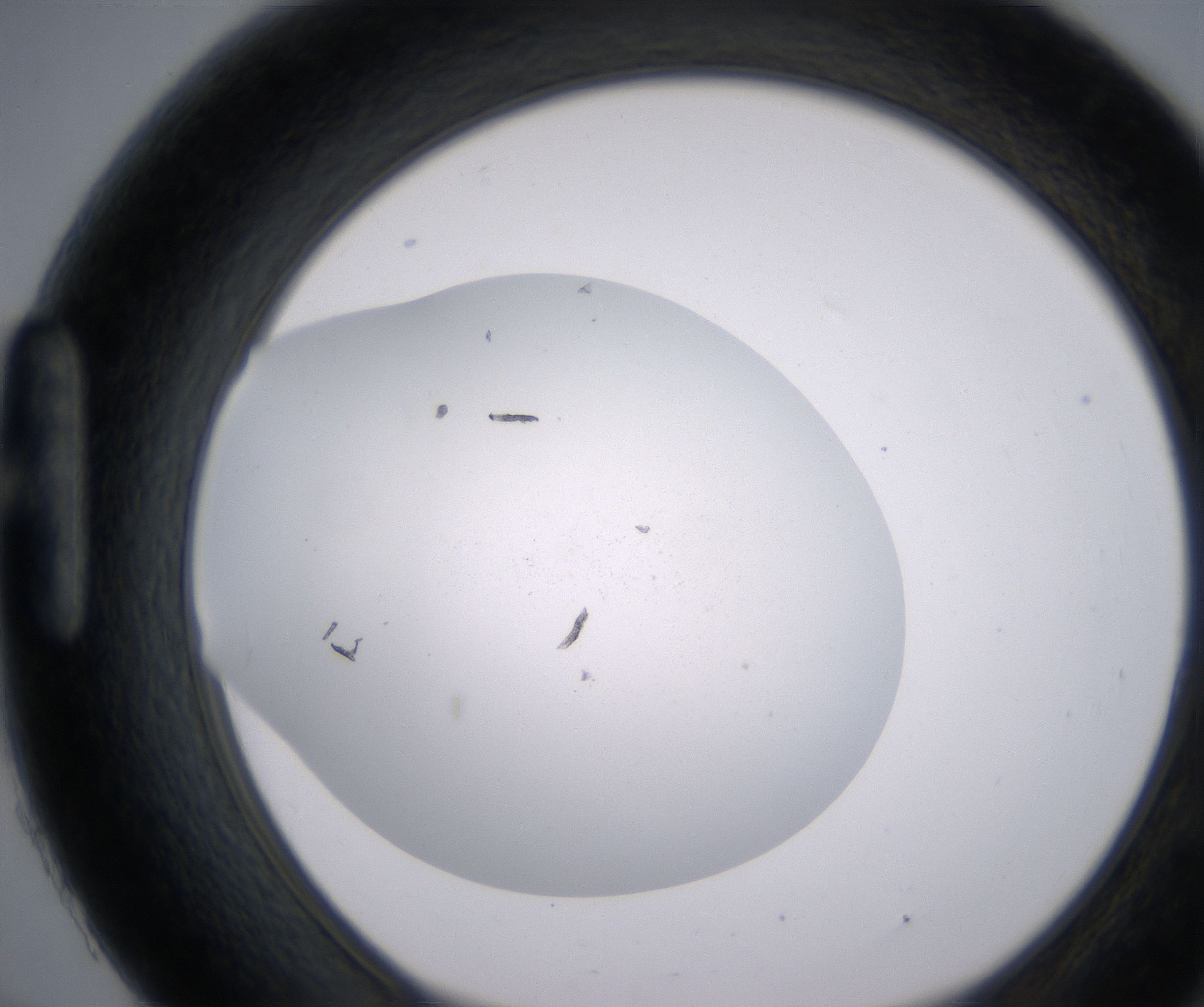 H9_HighResolution_Precipitate_1.jpg