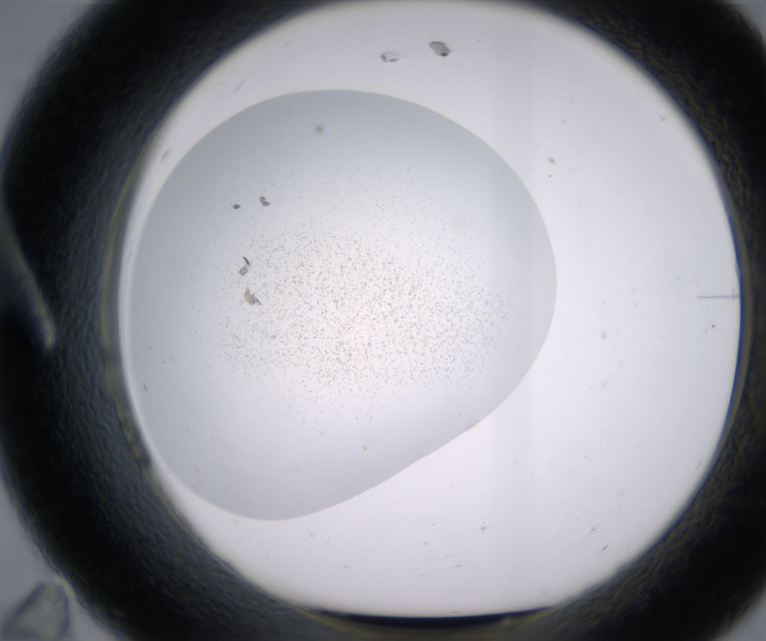A11_HighResolution_Precipitate_1.jpg