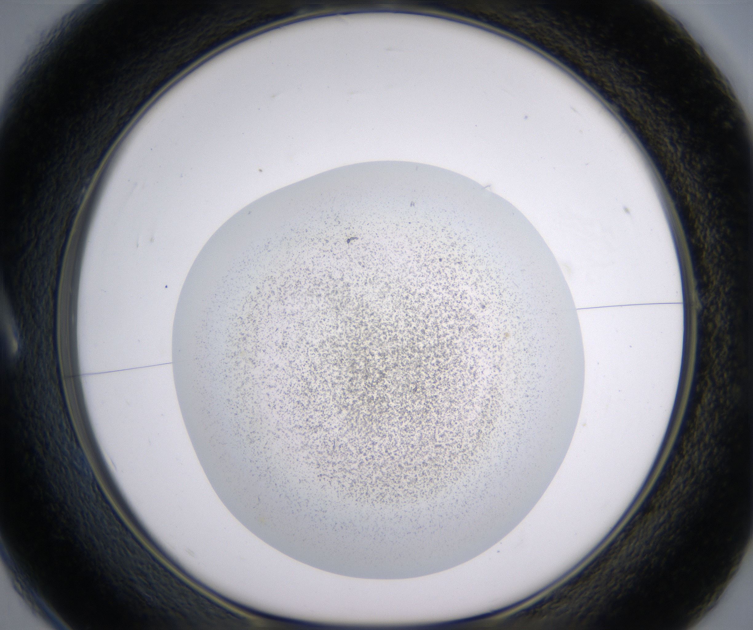 A1_HighResolution_Precipitate_1.jpg