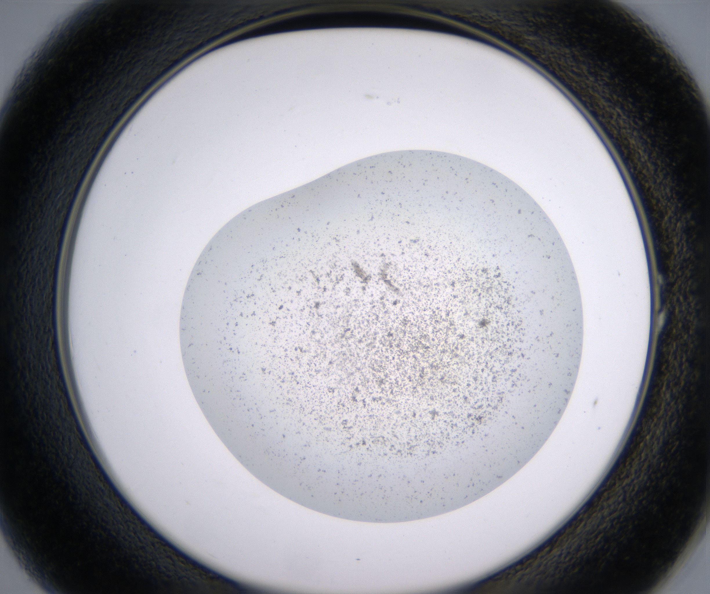 A1_HighResolution_Precipitate_2.jpg