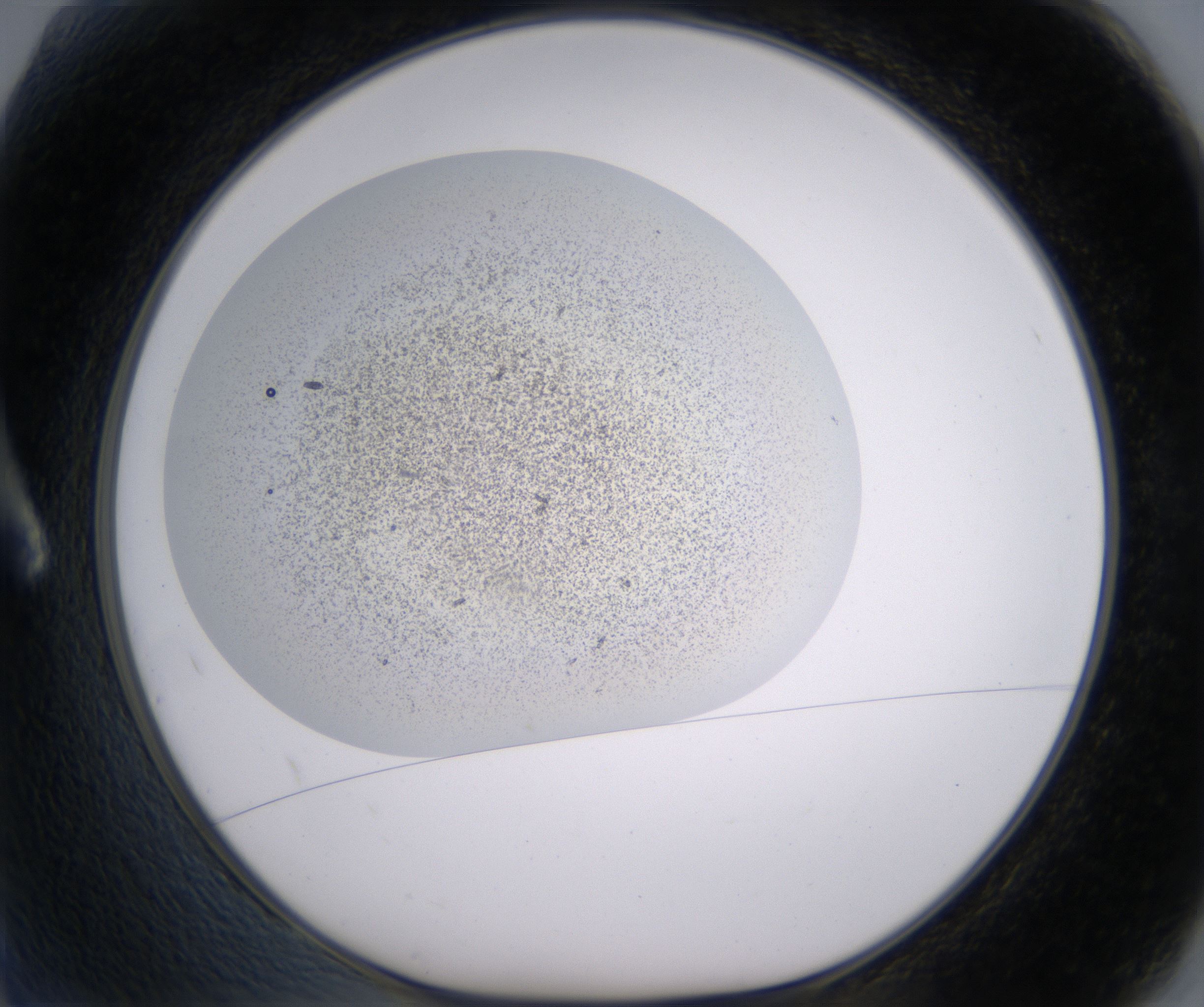 A2_HighResolution_Precipitate_1.jpg