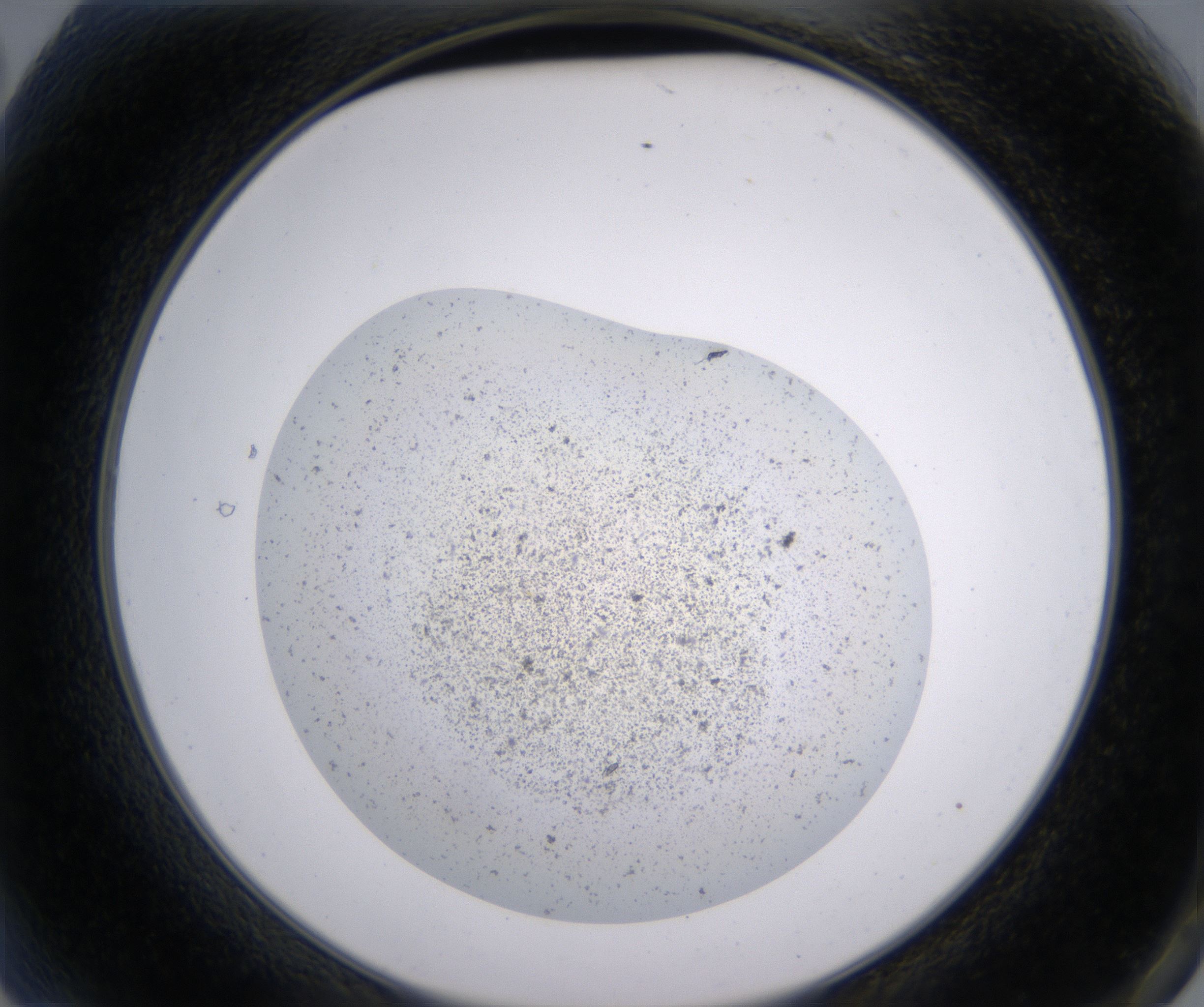 A2_HighResolution_Precipitate_2.jpg