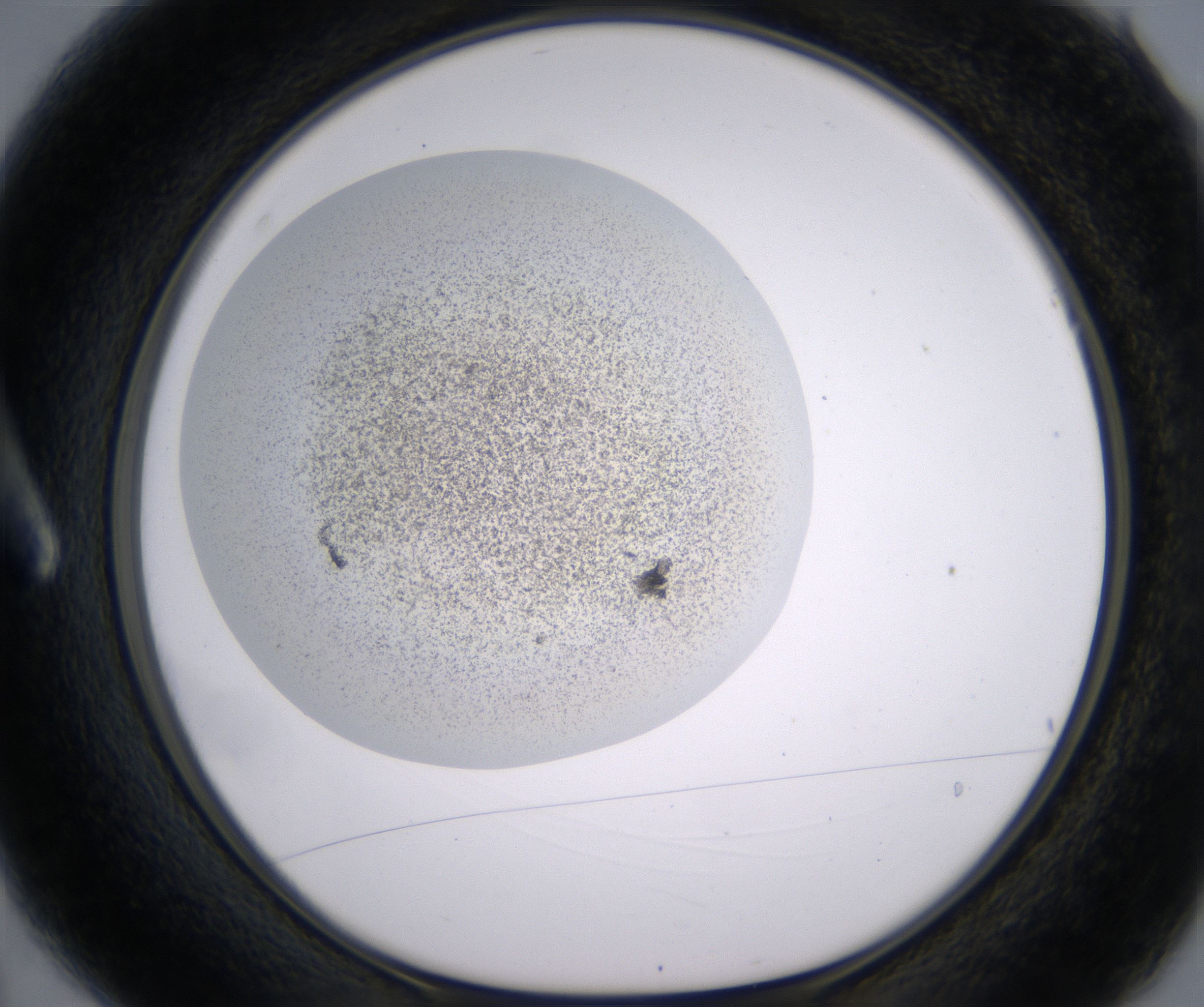 A3_HighResolution_Precipitate_1.jpg