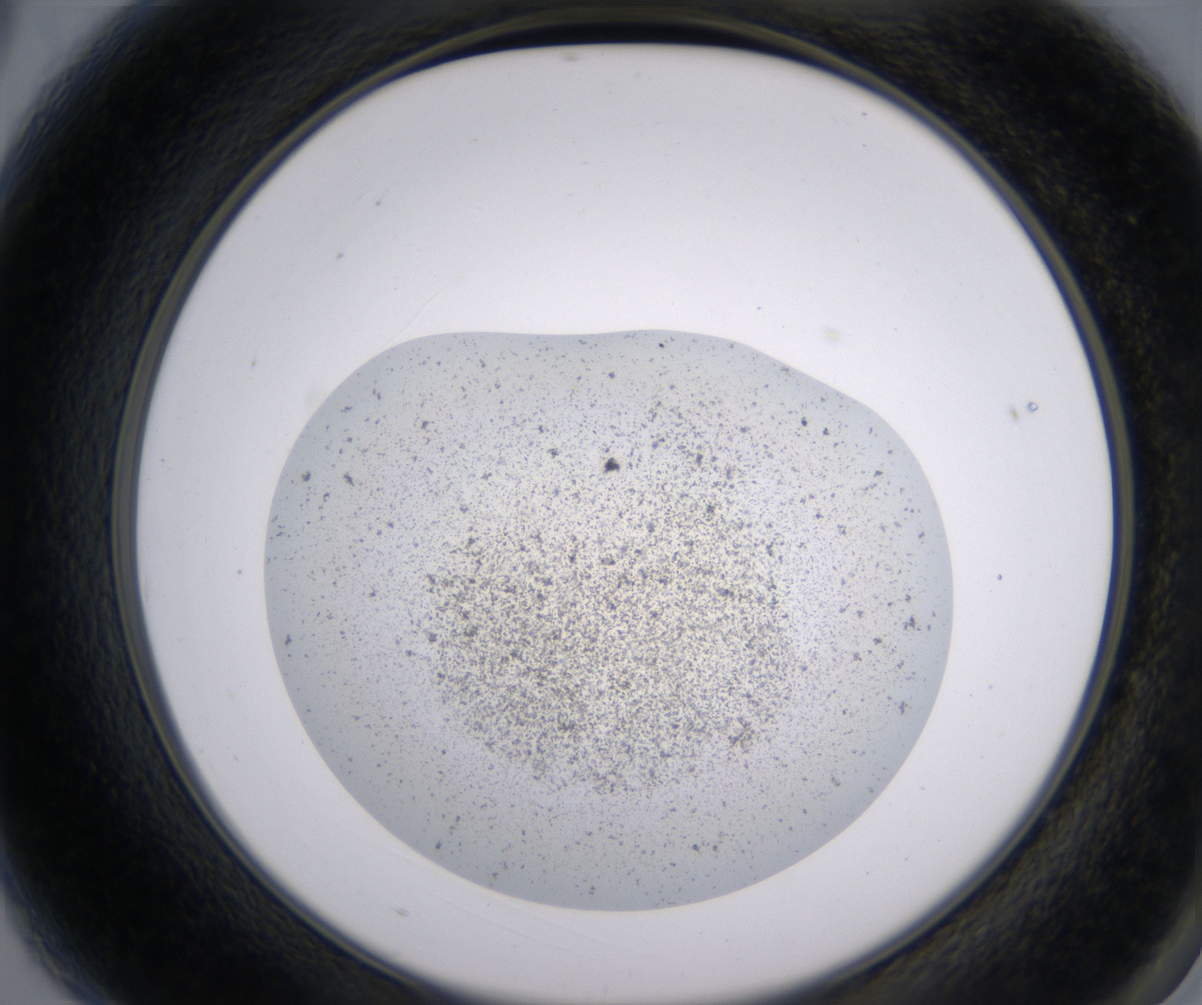 A3_HighResolution_Precipitate_2.jpg
