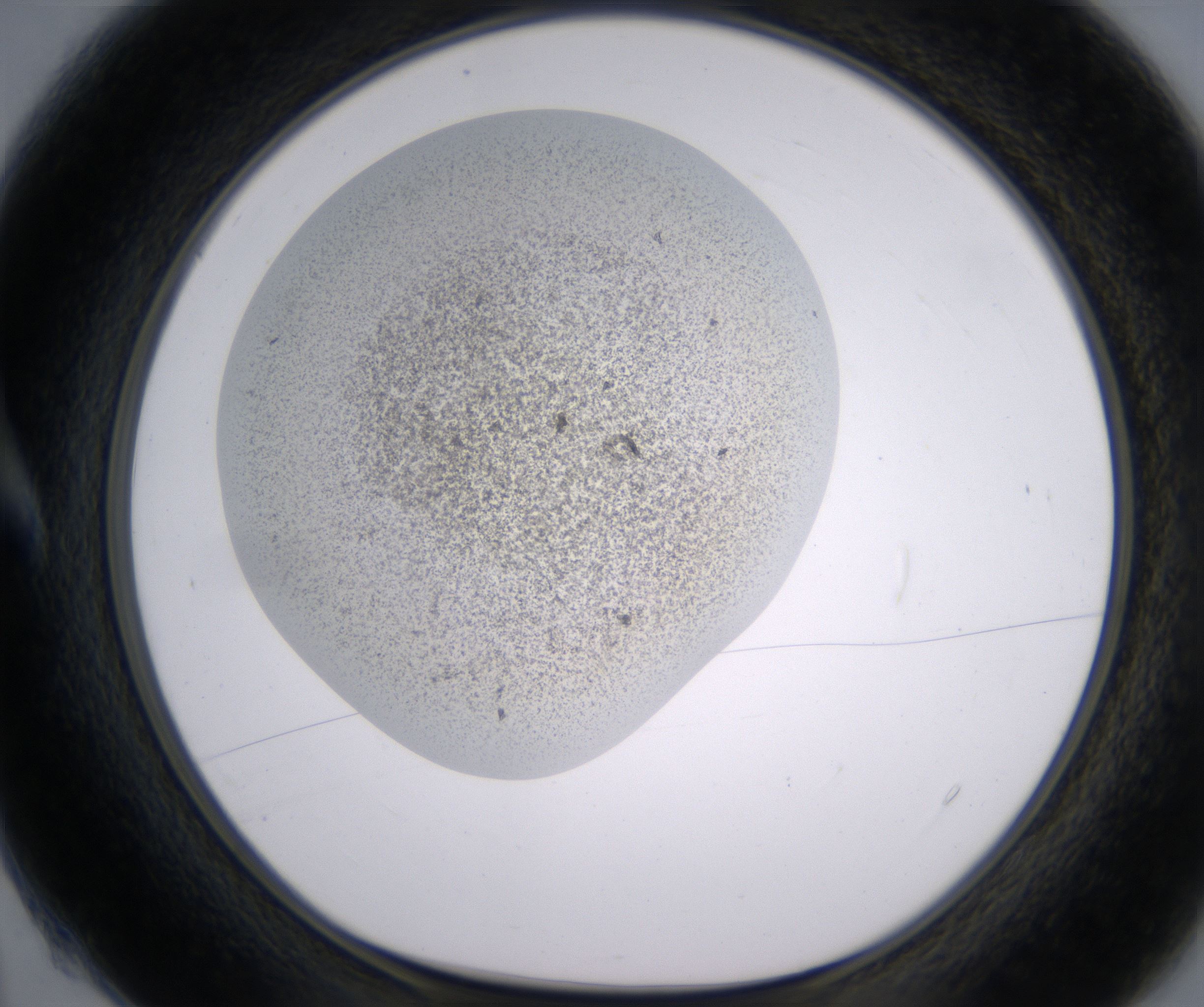 A4_HighResolution_Precipitate_1.jpg