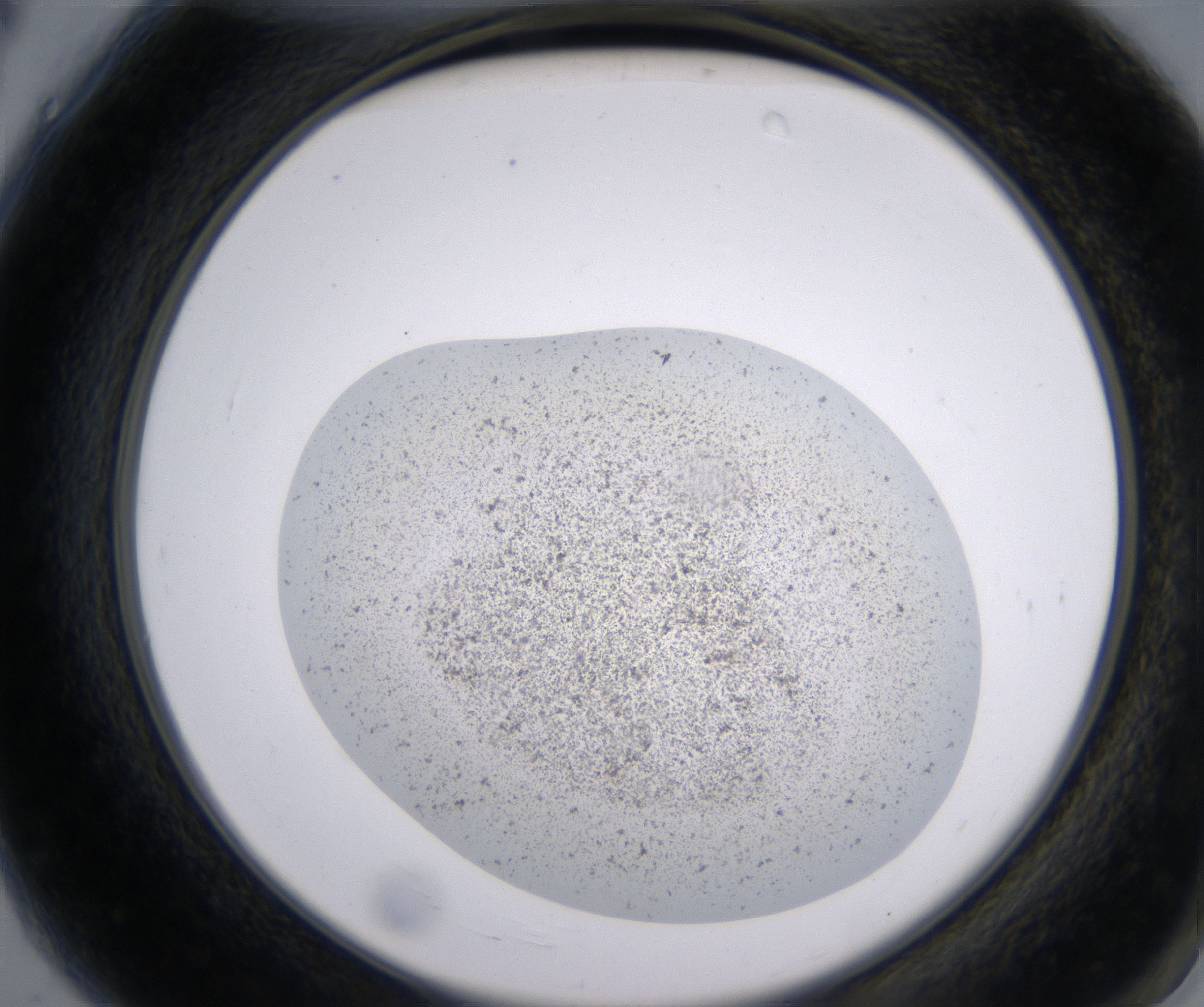 A4_HighResolution_Precipitate_2.jpg