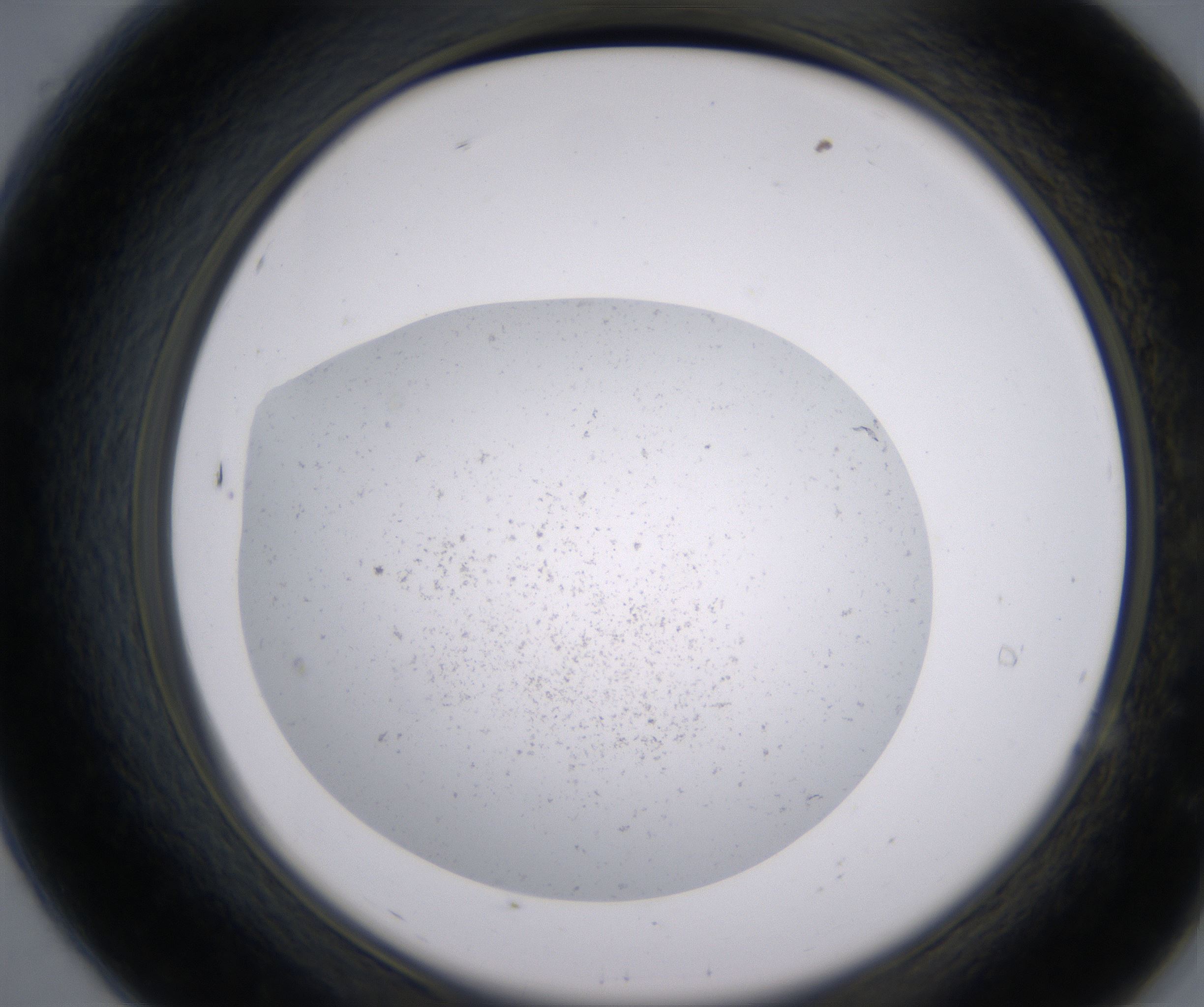 A7_HighResolution_Precipitate_2.jpg
