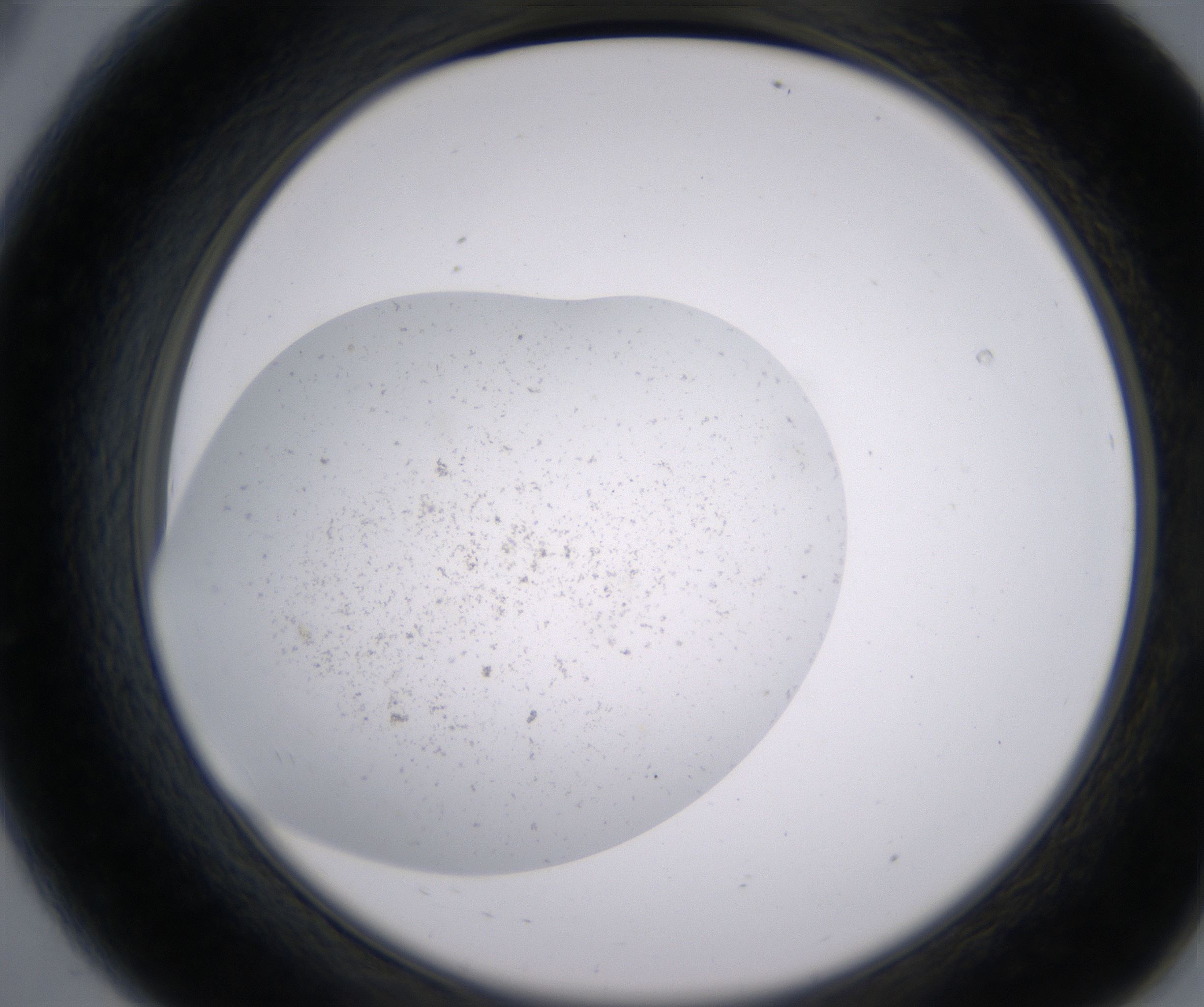 A8_HighResolution_Precipitate_2.jpg