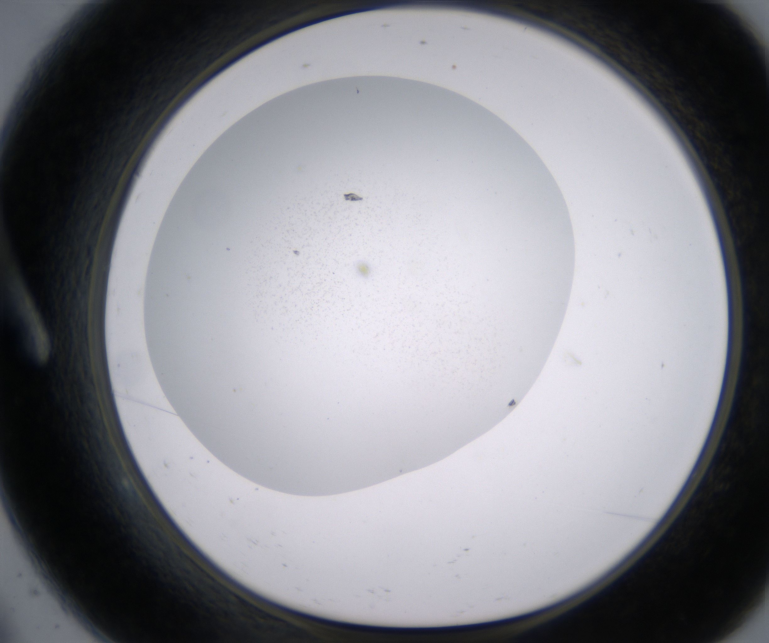 A9_HighResolution_Precipitate_1.jpg