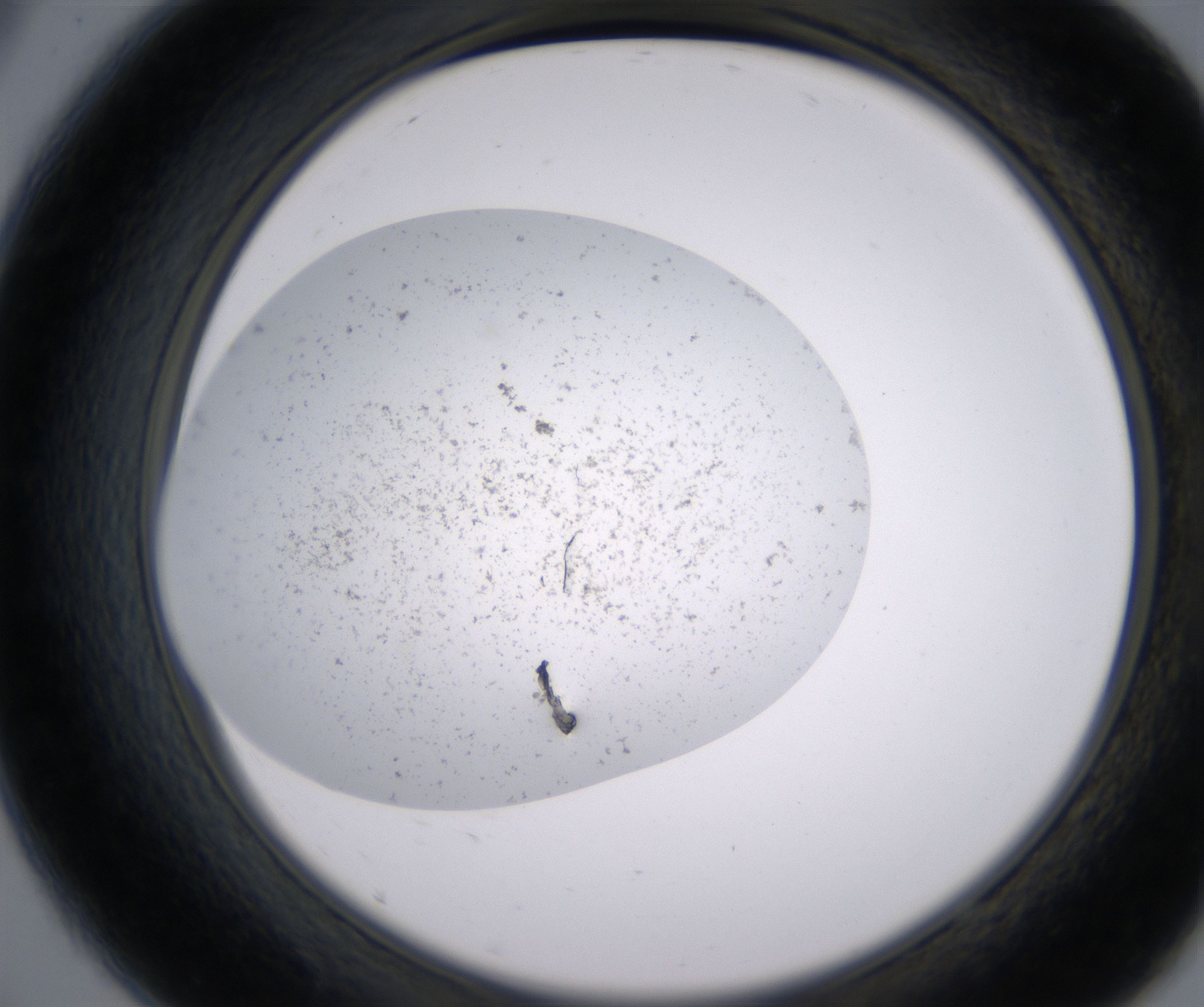 A9_HighResolution_Precipitate_2.jpg