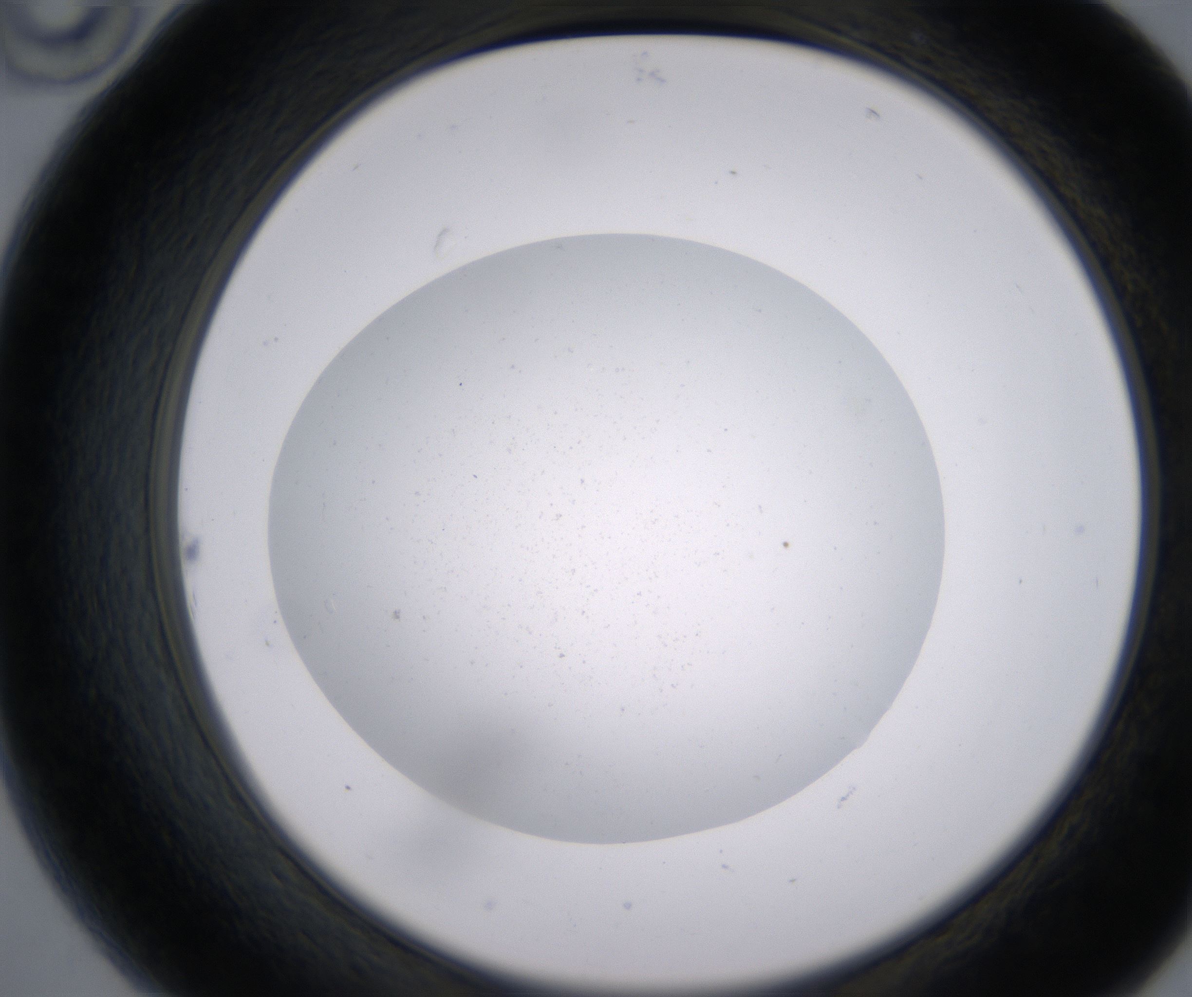 B10_HighResolution_Precipitate_2.jpg