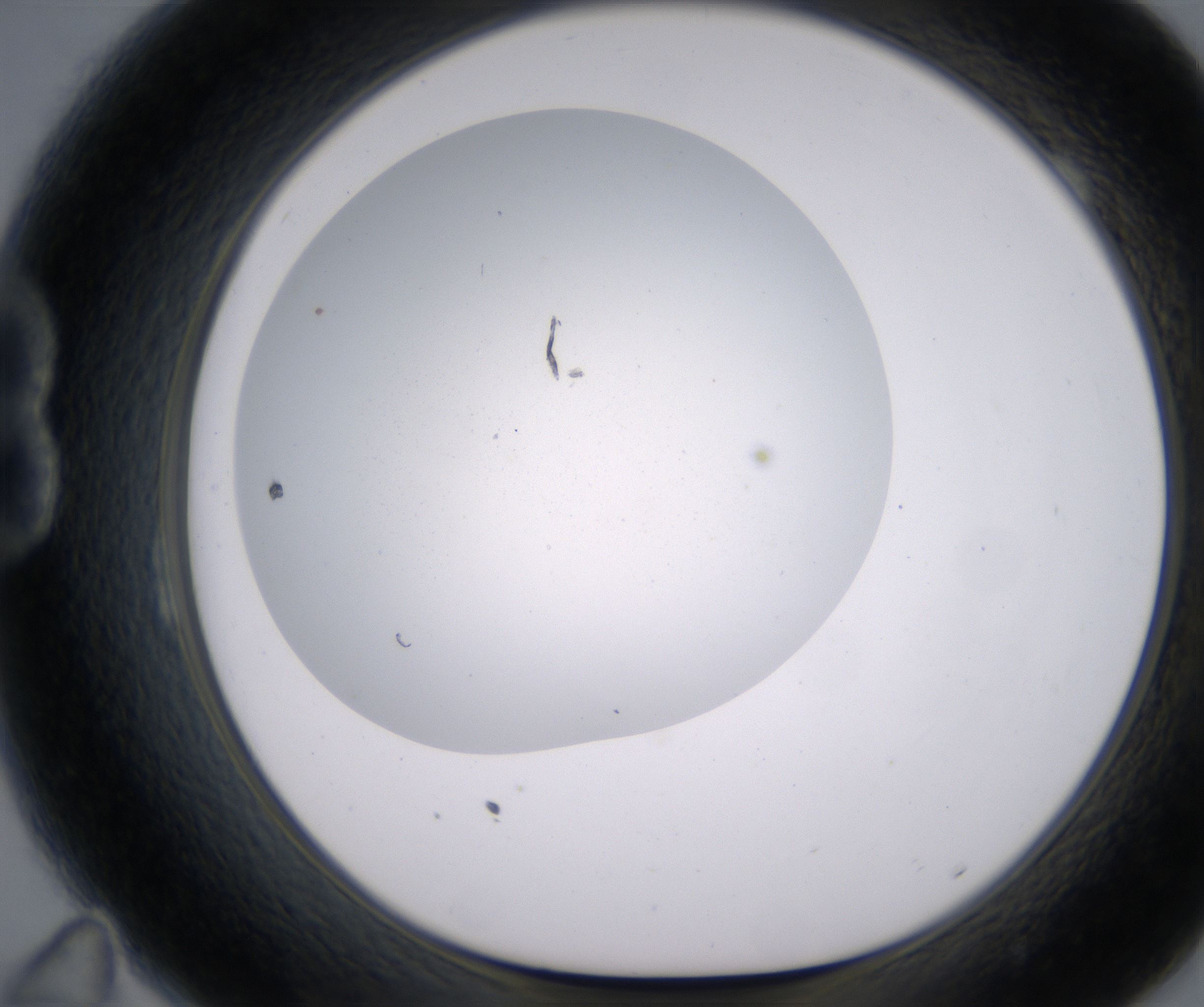 B11_HighResolution_Precipitate_1.jpg