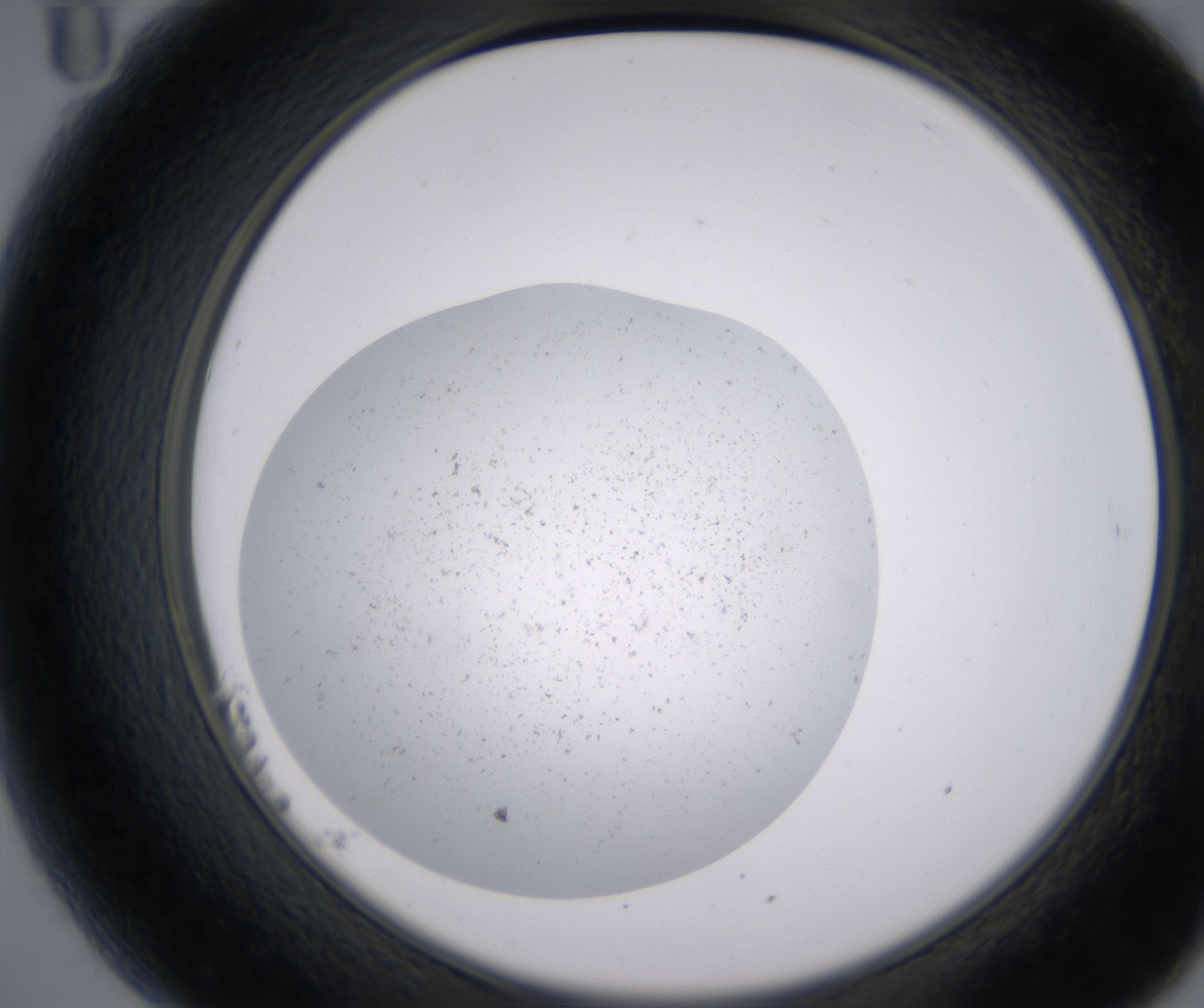 B11_HighResolution_Precipitate_2.jpg