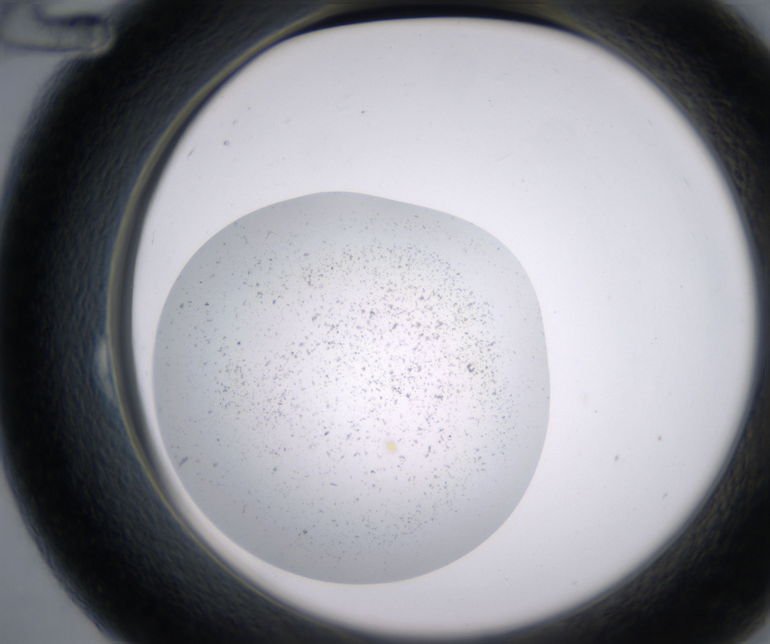 B12_HighResolution_Precipitate_2.jpg