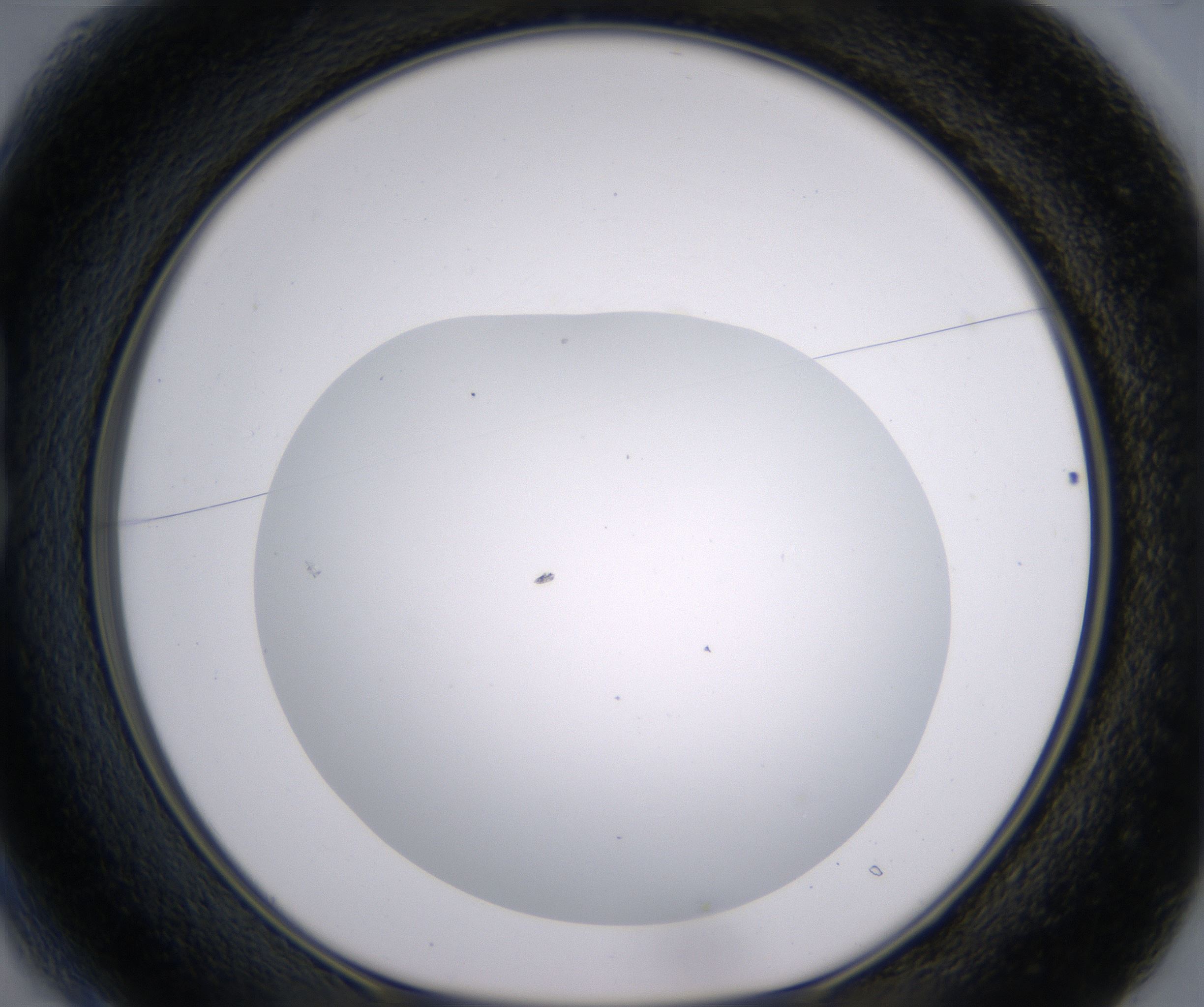 B1_HighResolution_Clear_1.jpg
