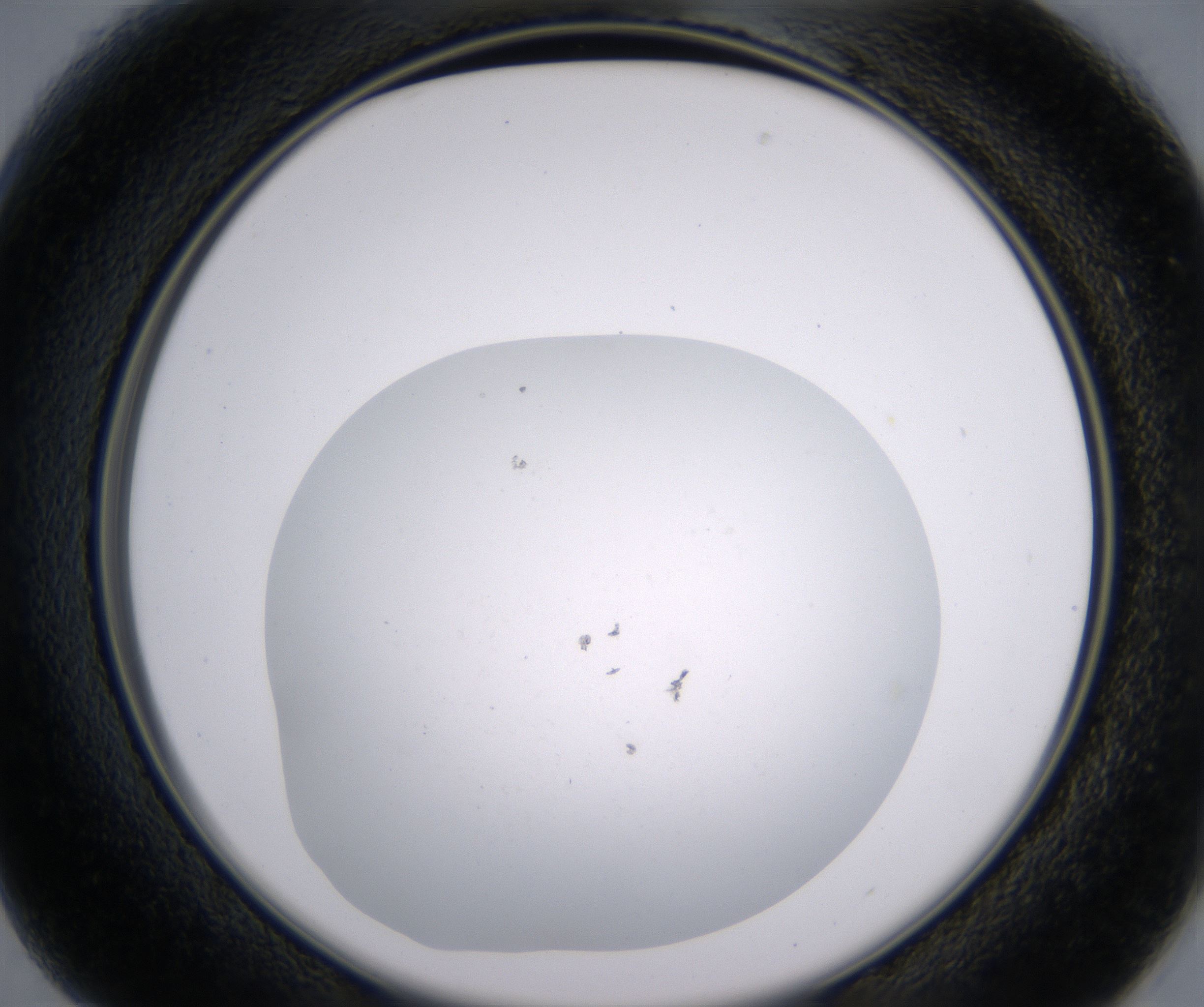 B1_HighResolution_Precipitate_2.jpg