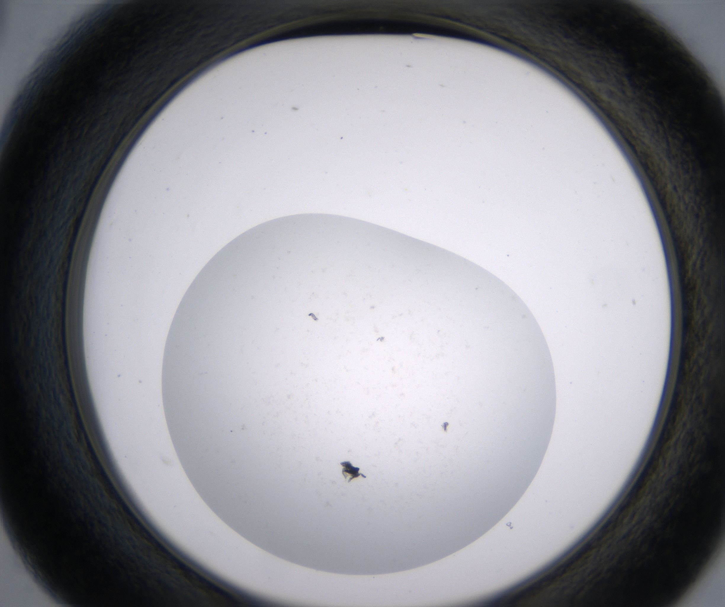 B3_HighResolution_Precipitate_2.jpg