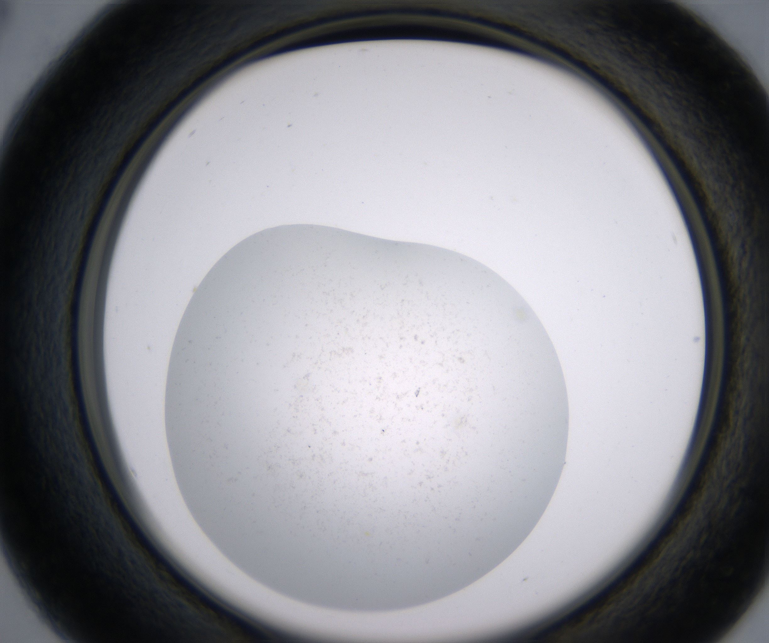 B4_HighResolution_Precipitate_2.jpg