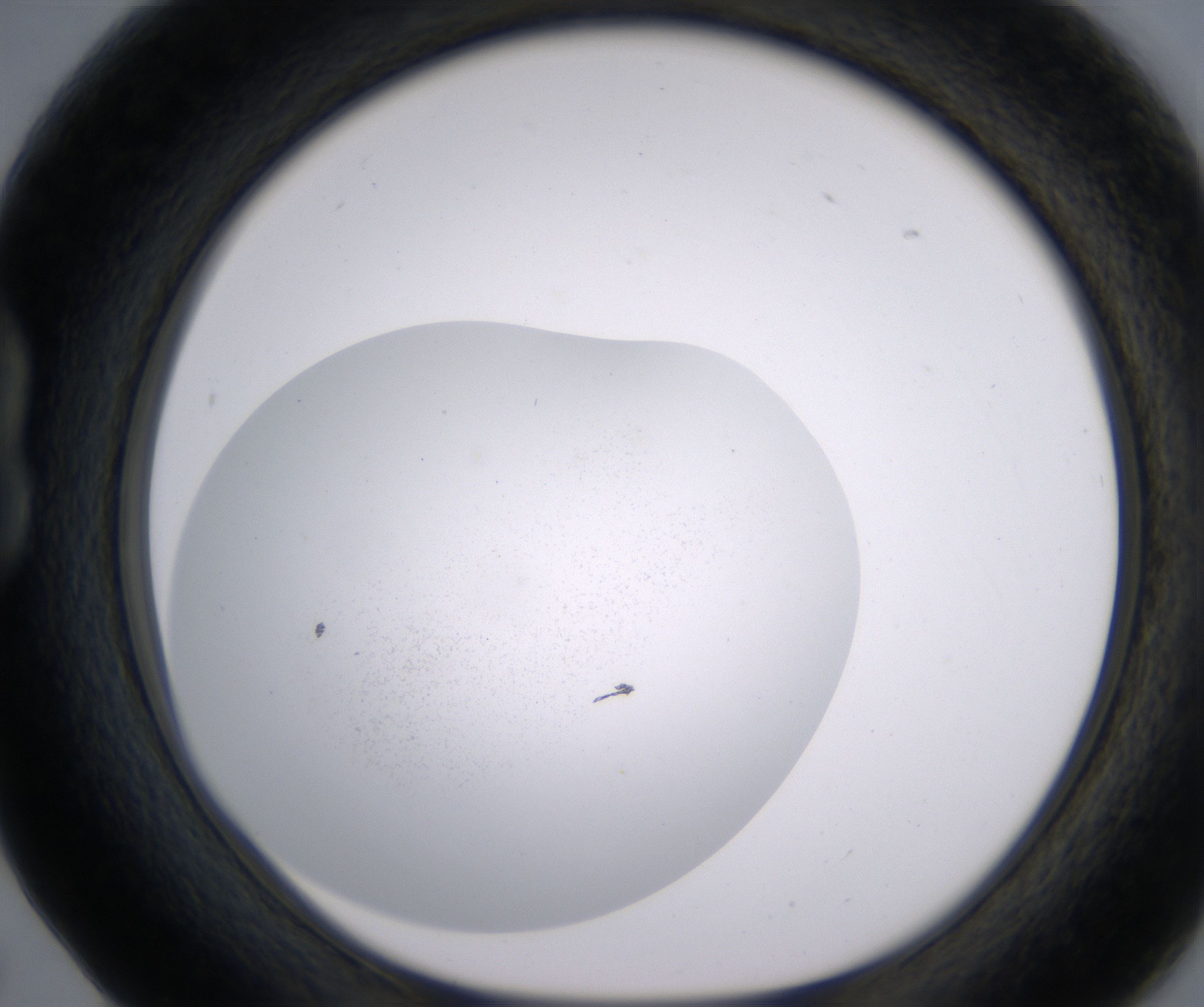 B5_HighResolution_Precipitate_1.jpg