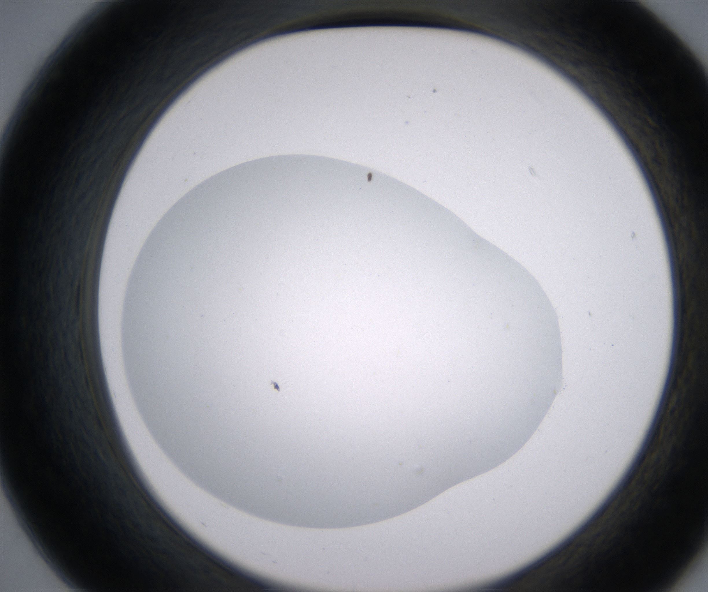 B7_HighResolution_Clear_2.jpg
