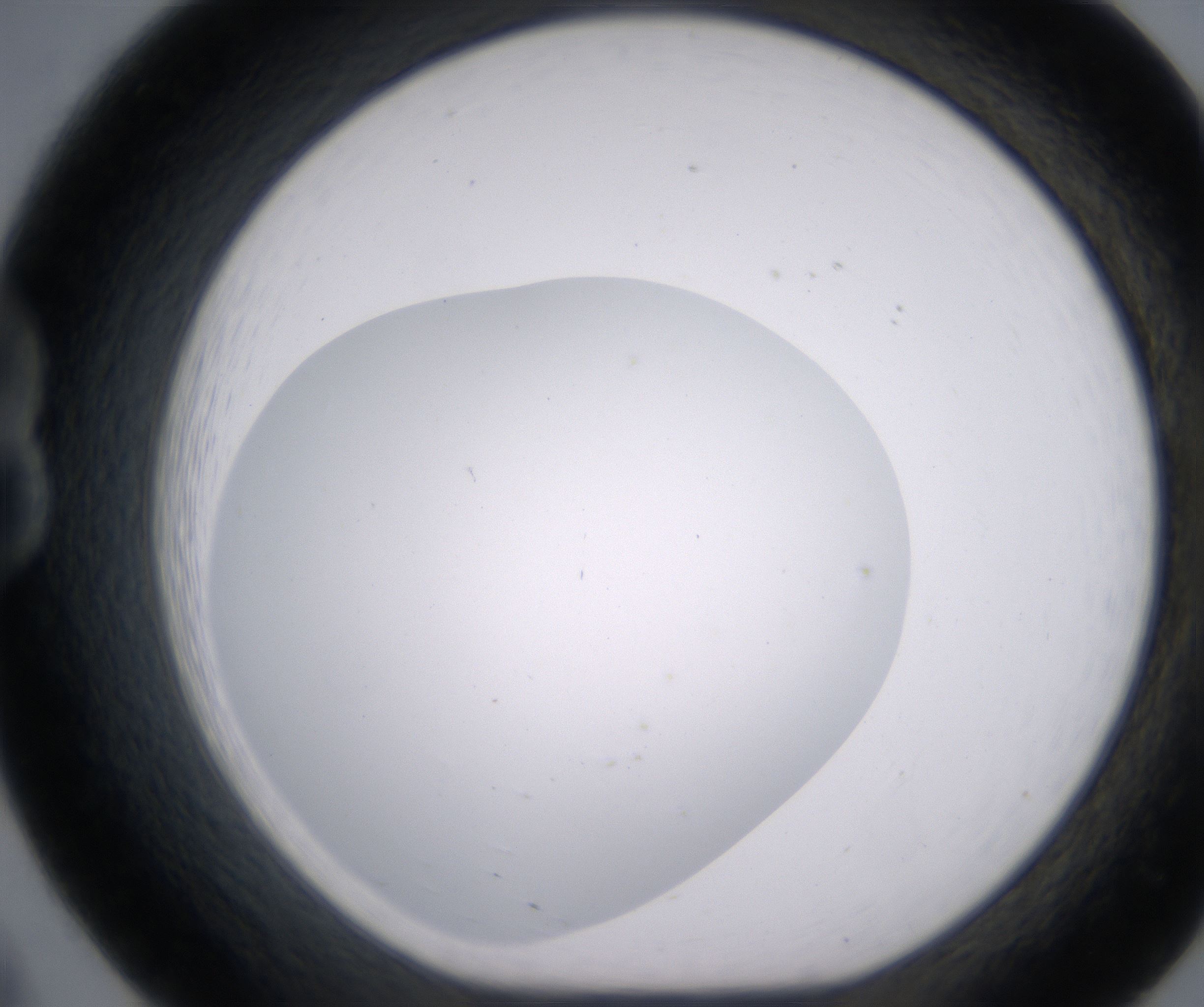 B8_HighResolution_Clear_1.jpg