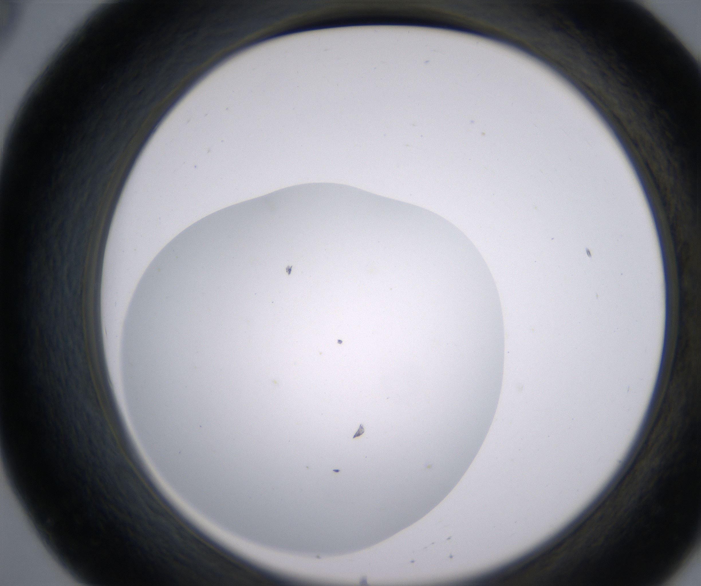 B8_HighResolution_Clear_2.jpg