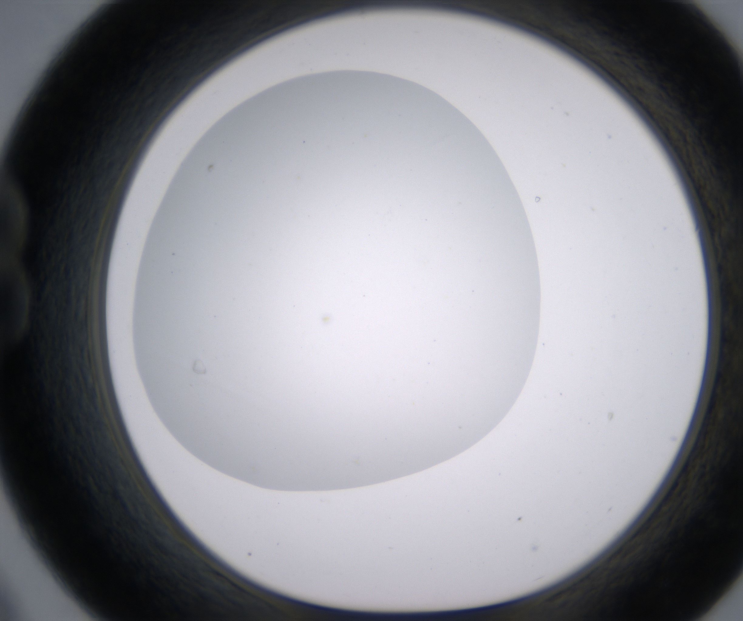 B9_HighResolution_Clear_1.jpg