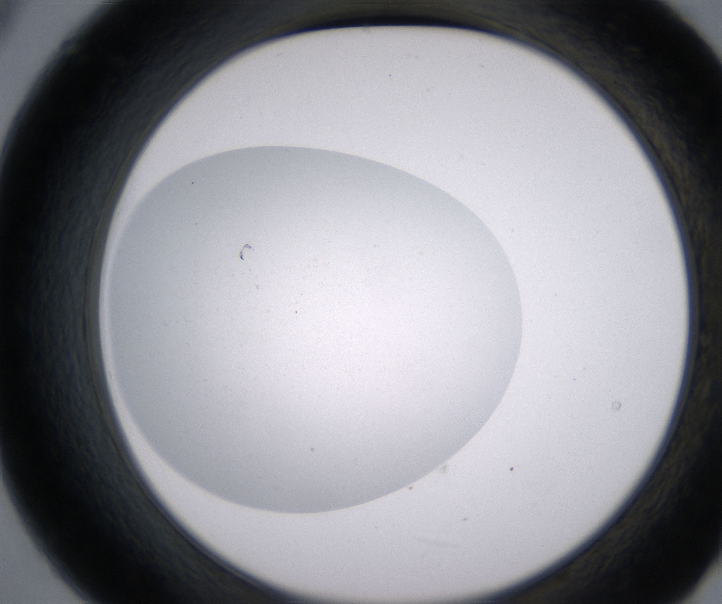 B9_HighResolution_Clear_2.jpg