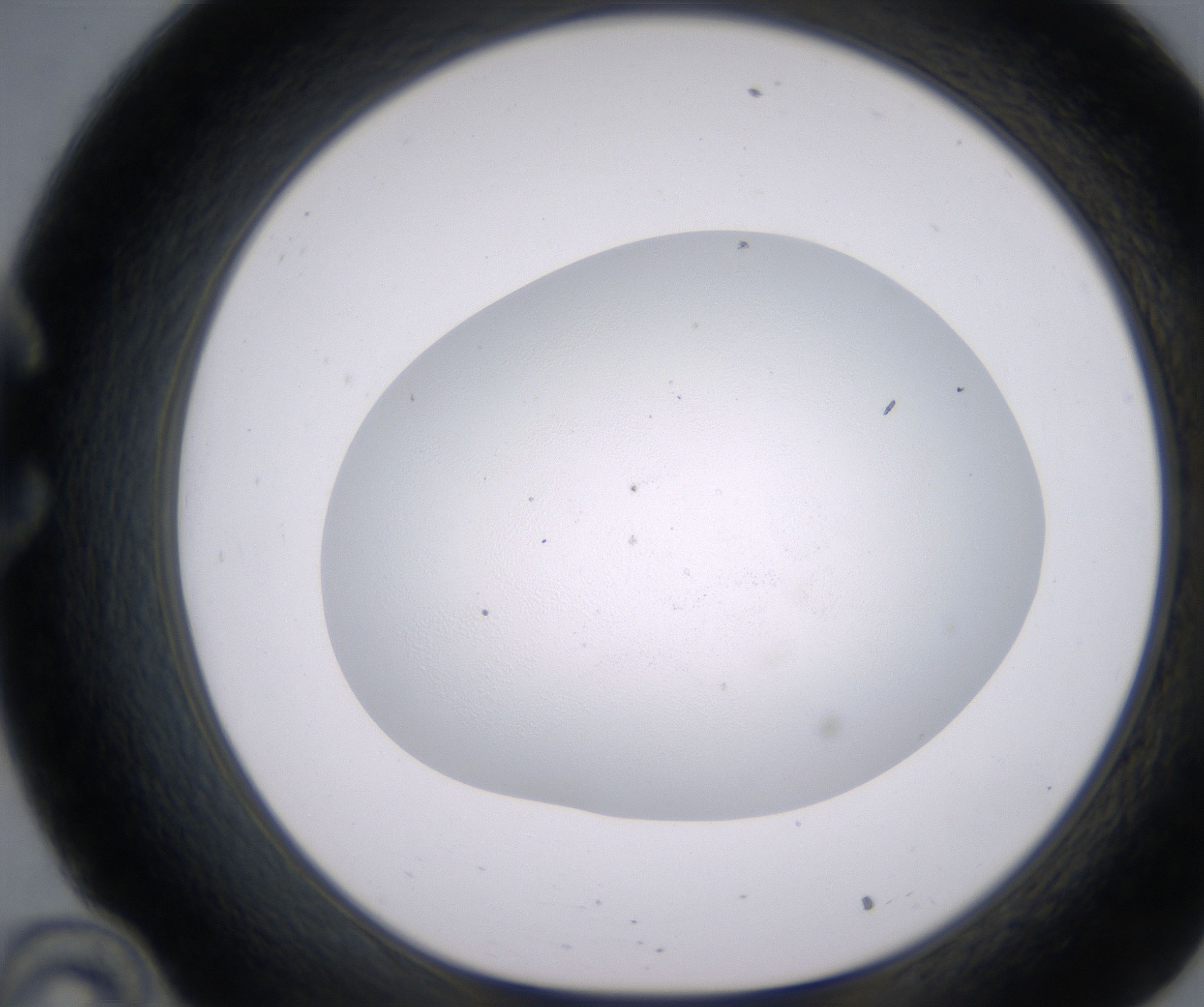 C10_HighResolution_Precipitate_1.jpg